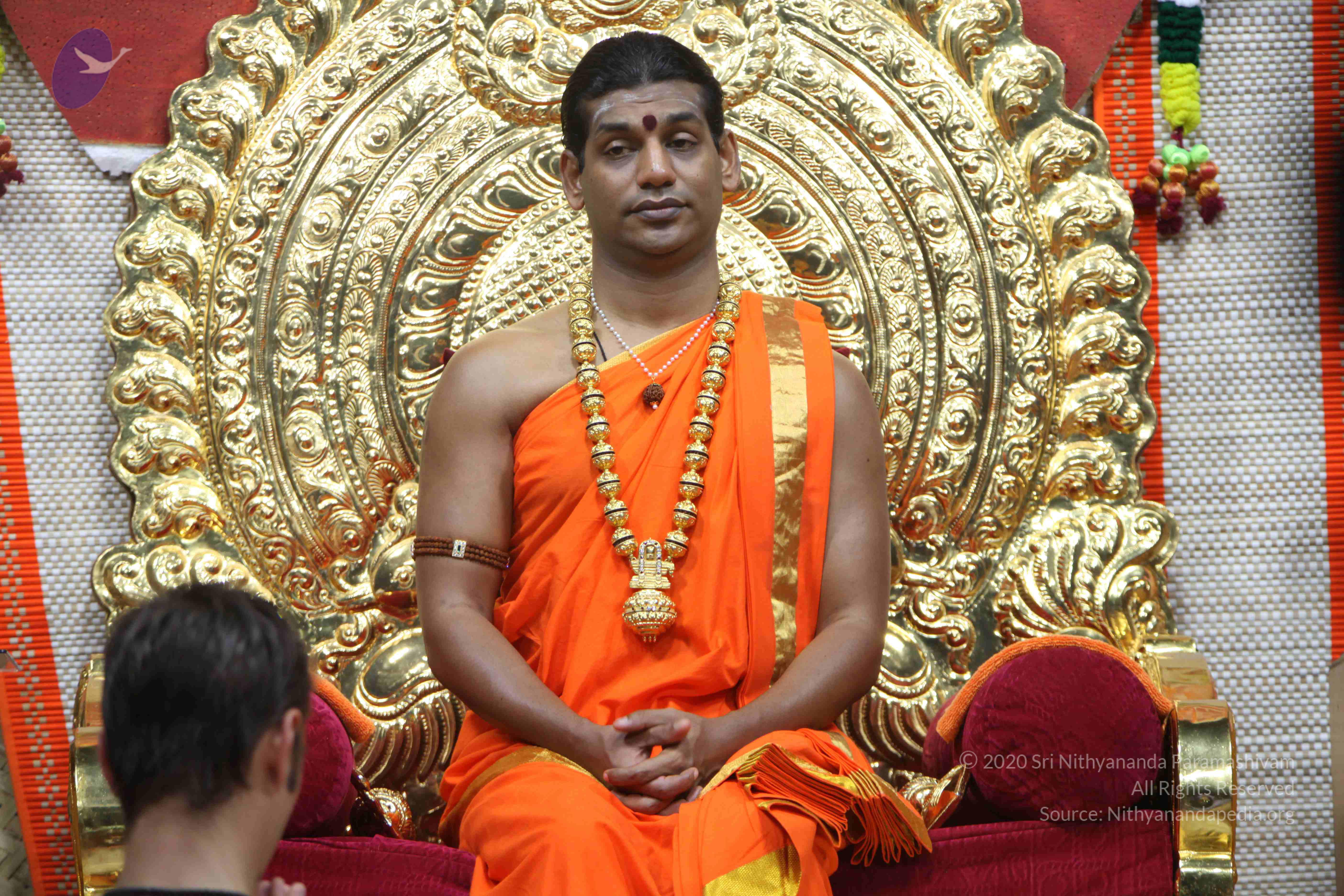 20110222_Photo_1212_IMG_9158_CMP_WM