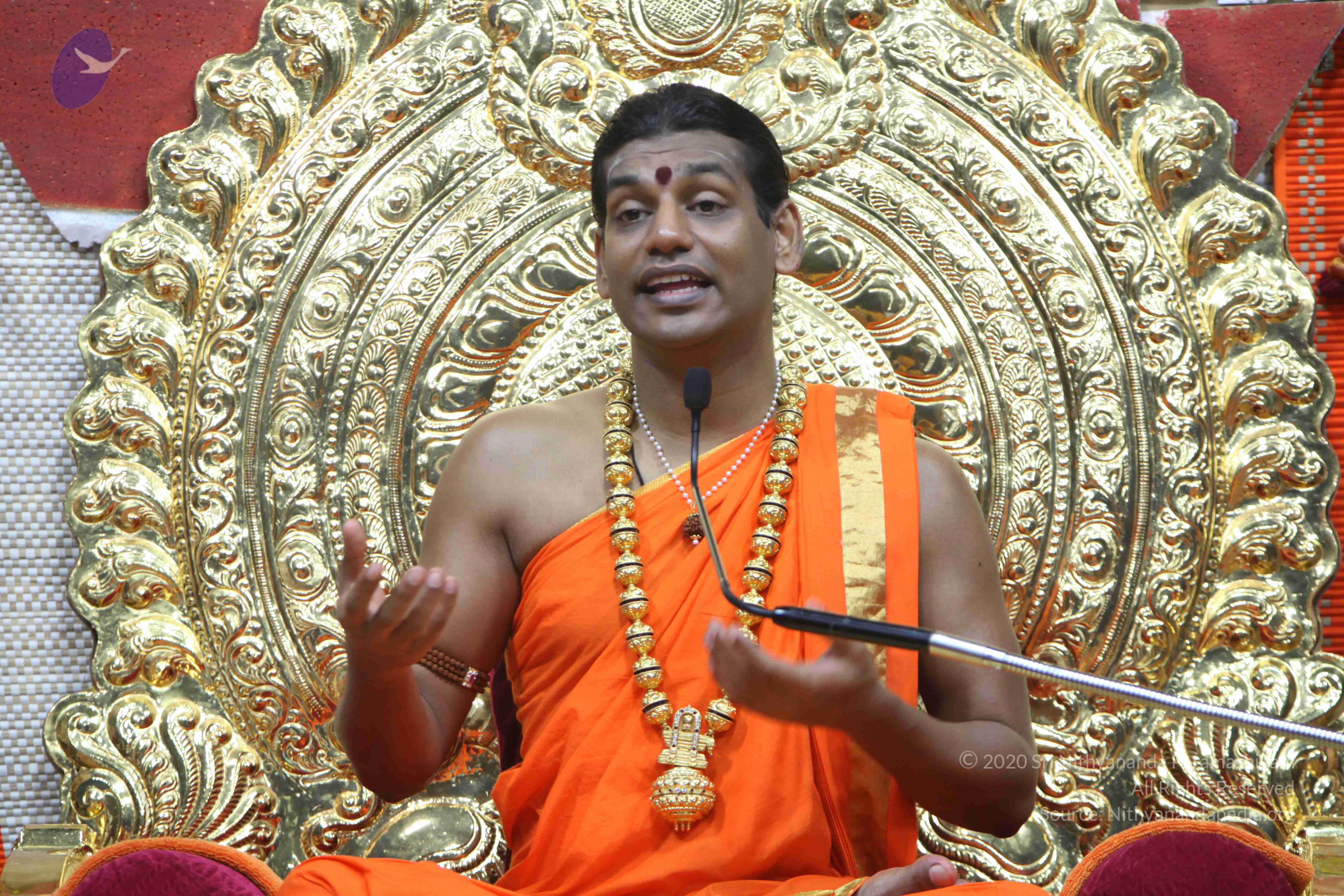 20110222_Photo_1016_IMG_9481_CMP_WM