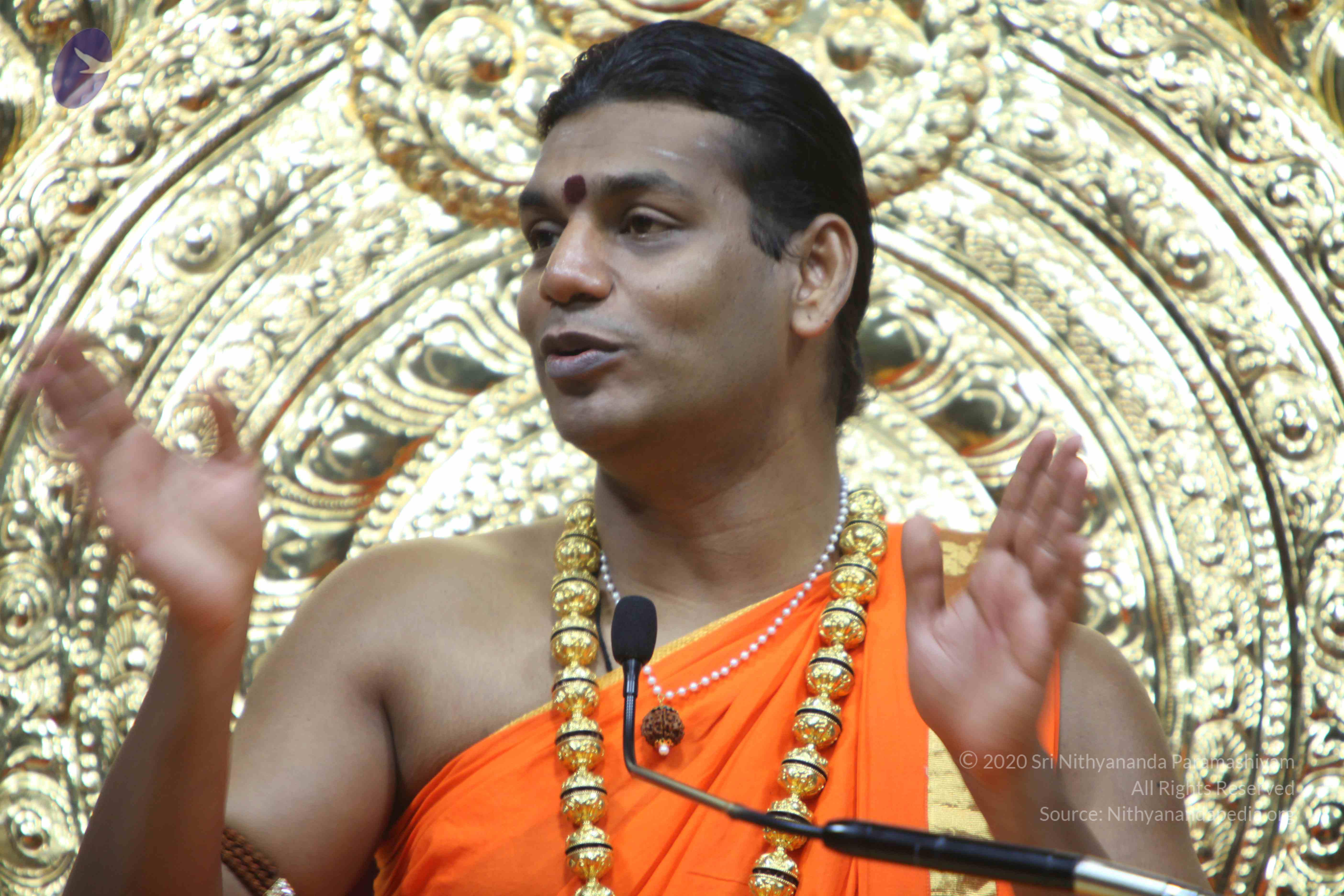 20110222_Photo_1018_IMG_9717_CMP_WM