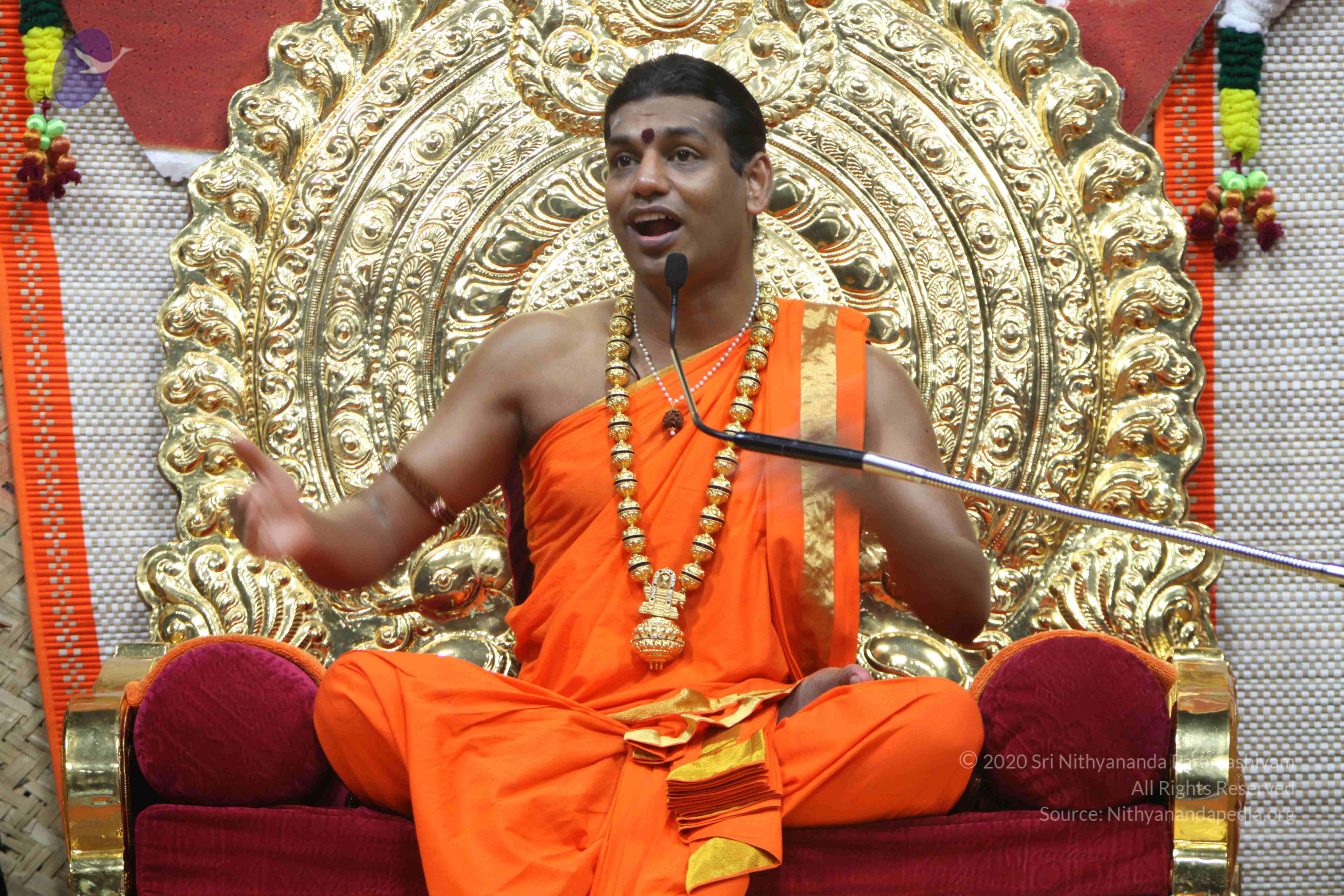 20110222_Photo_1020_IMG_9603_CMP_WM