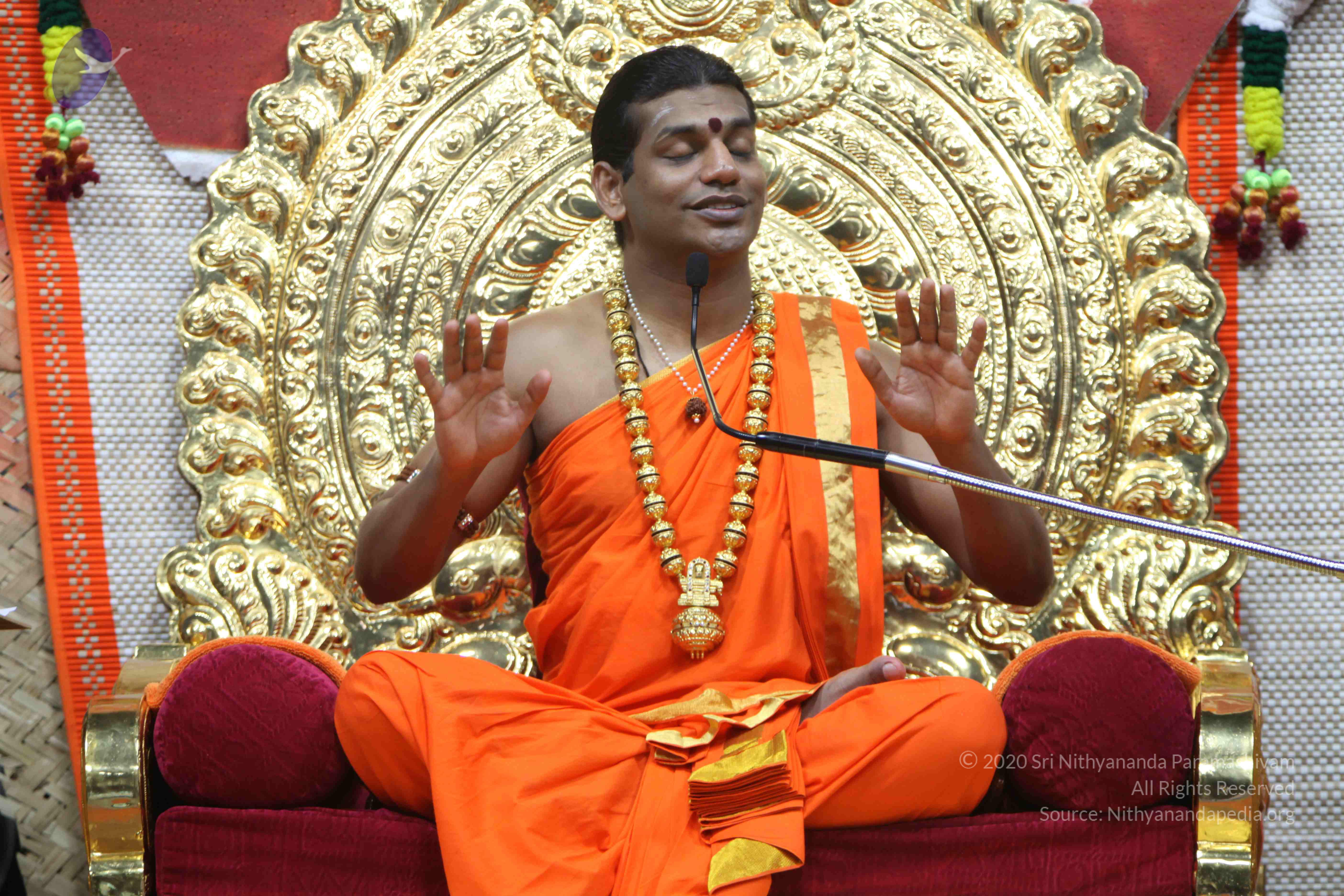 20110222_Photo_1034_IMG_9612_CMP_WM