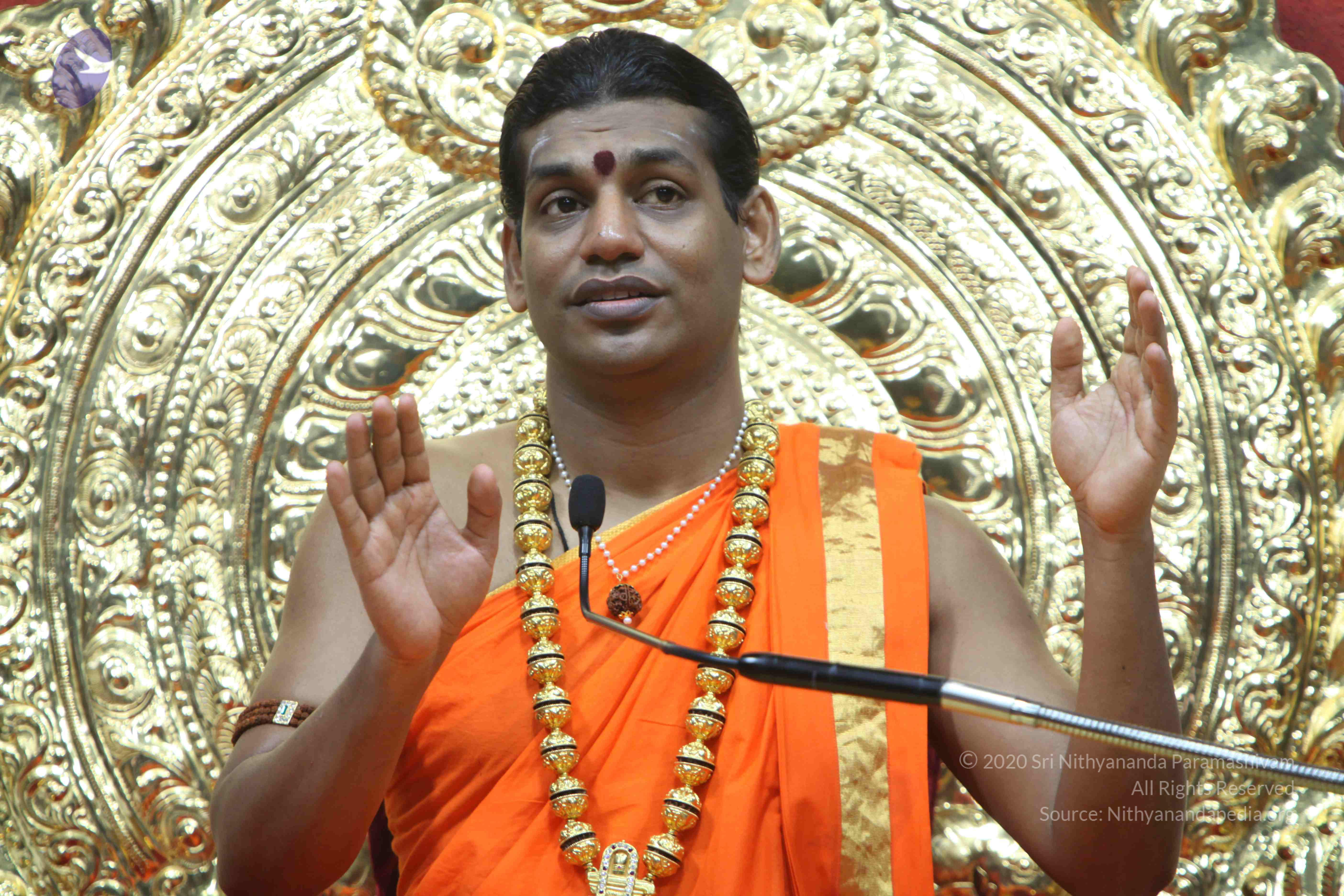 20110222_Photo_1036_IMG_9706_CMP_WM