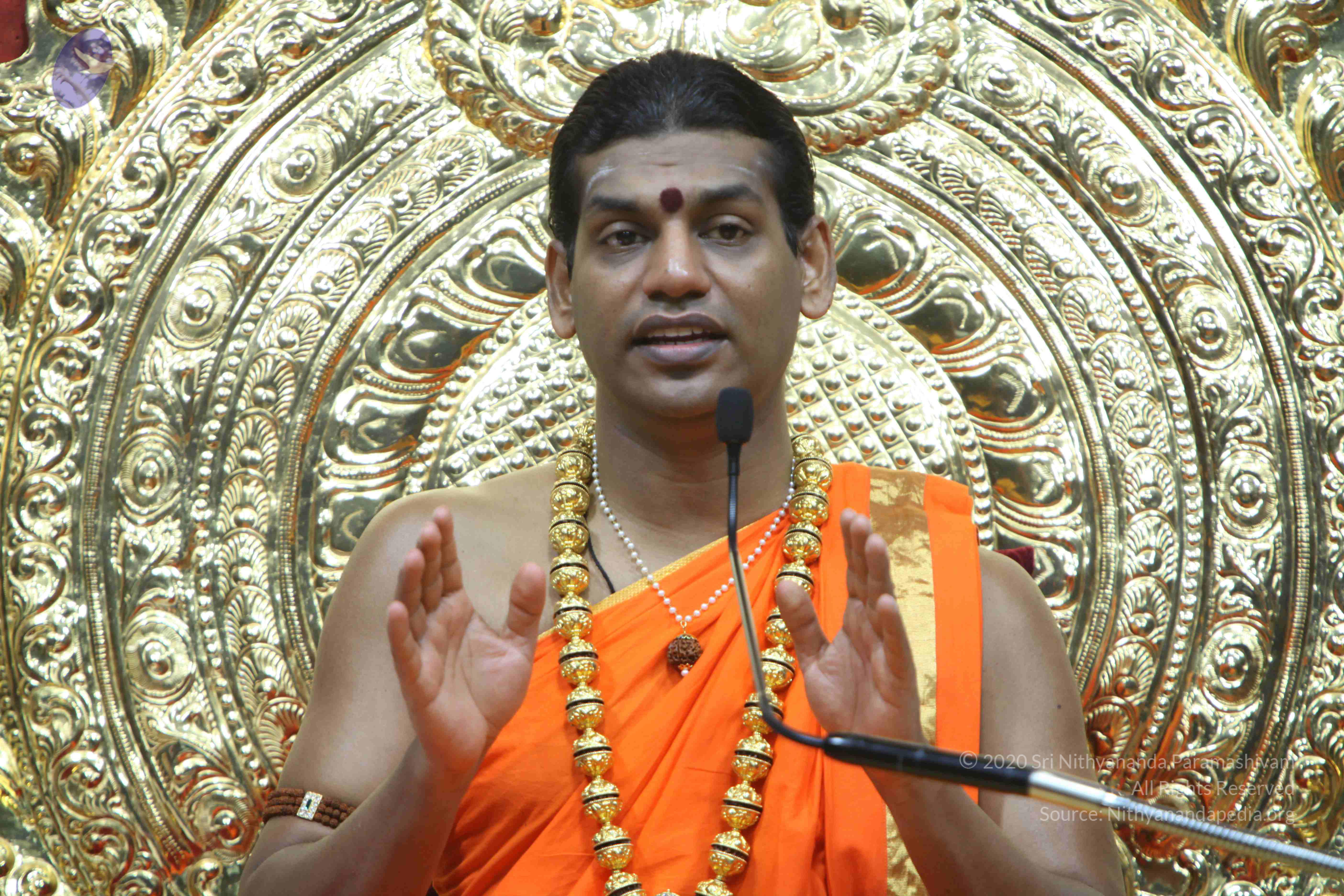 20110222_Photo_1047_IMG_9344_CMP_WM