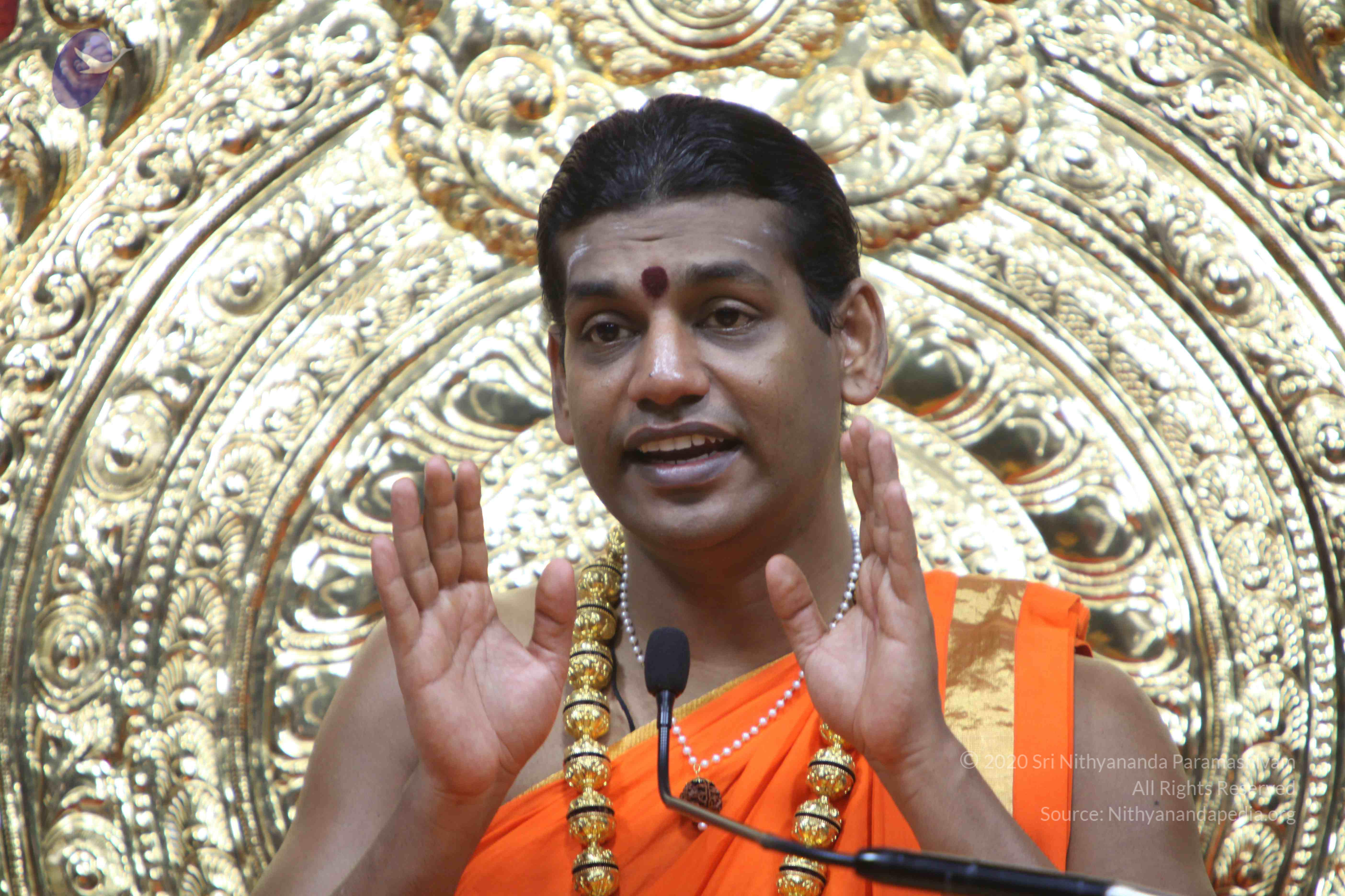 20110222_Photo_1057_IMG_9693_CMP_WM