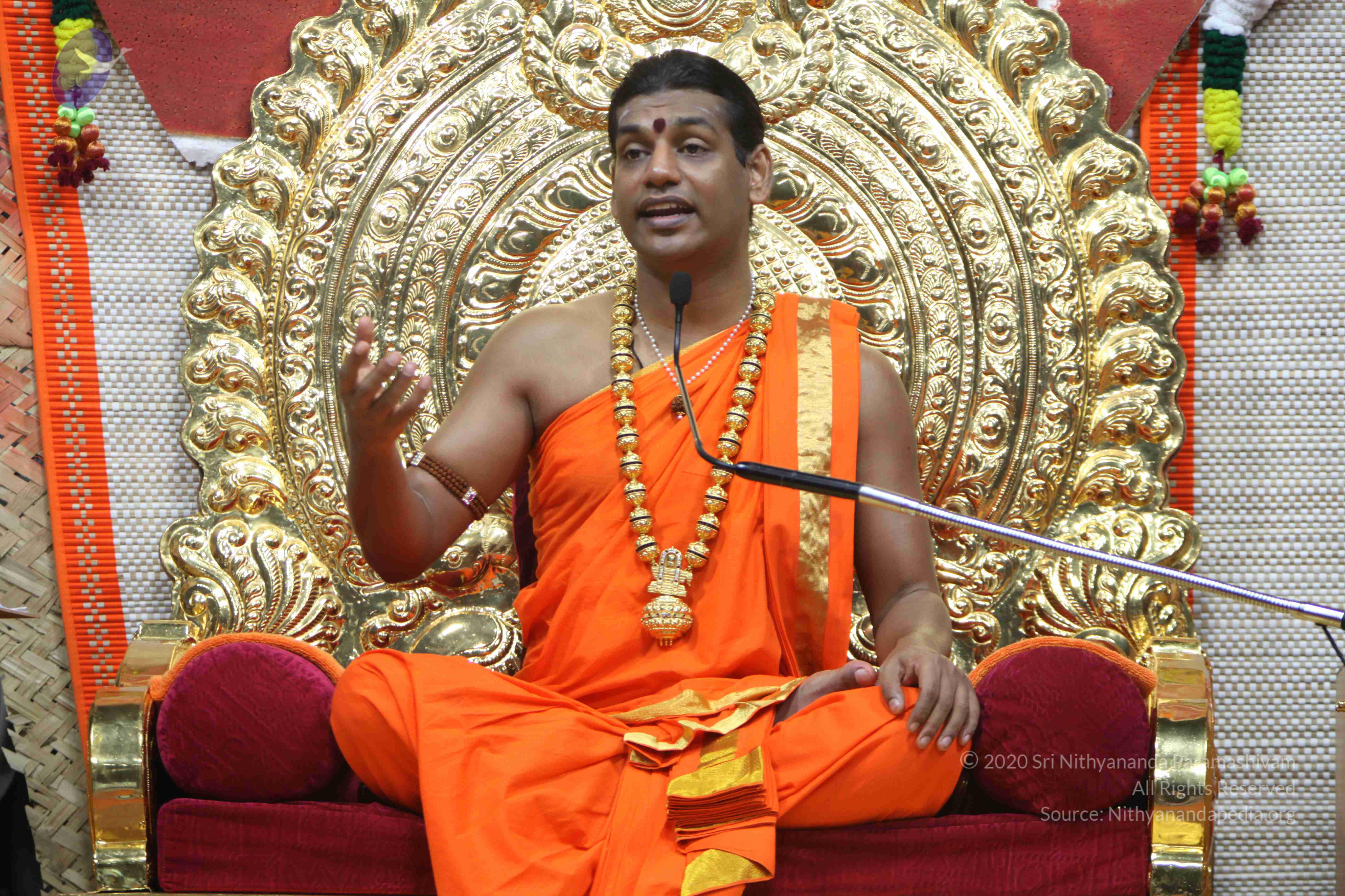 20110222_Photo_1060_IMG_9495_CMP_WM