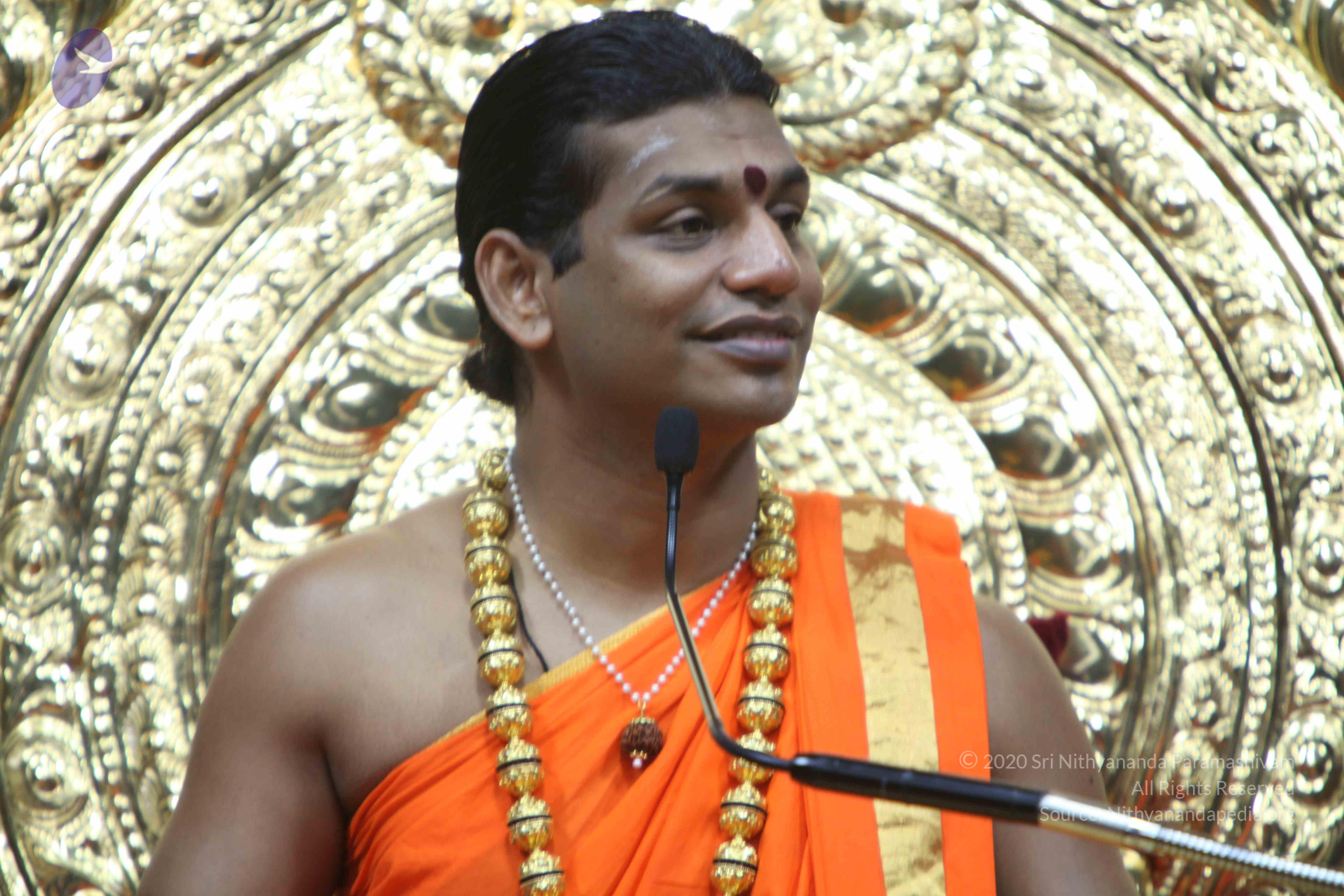 20110222_Photo_1071_IMG_9617_CMP_WM