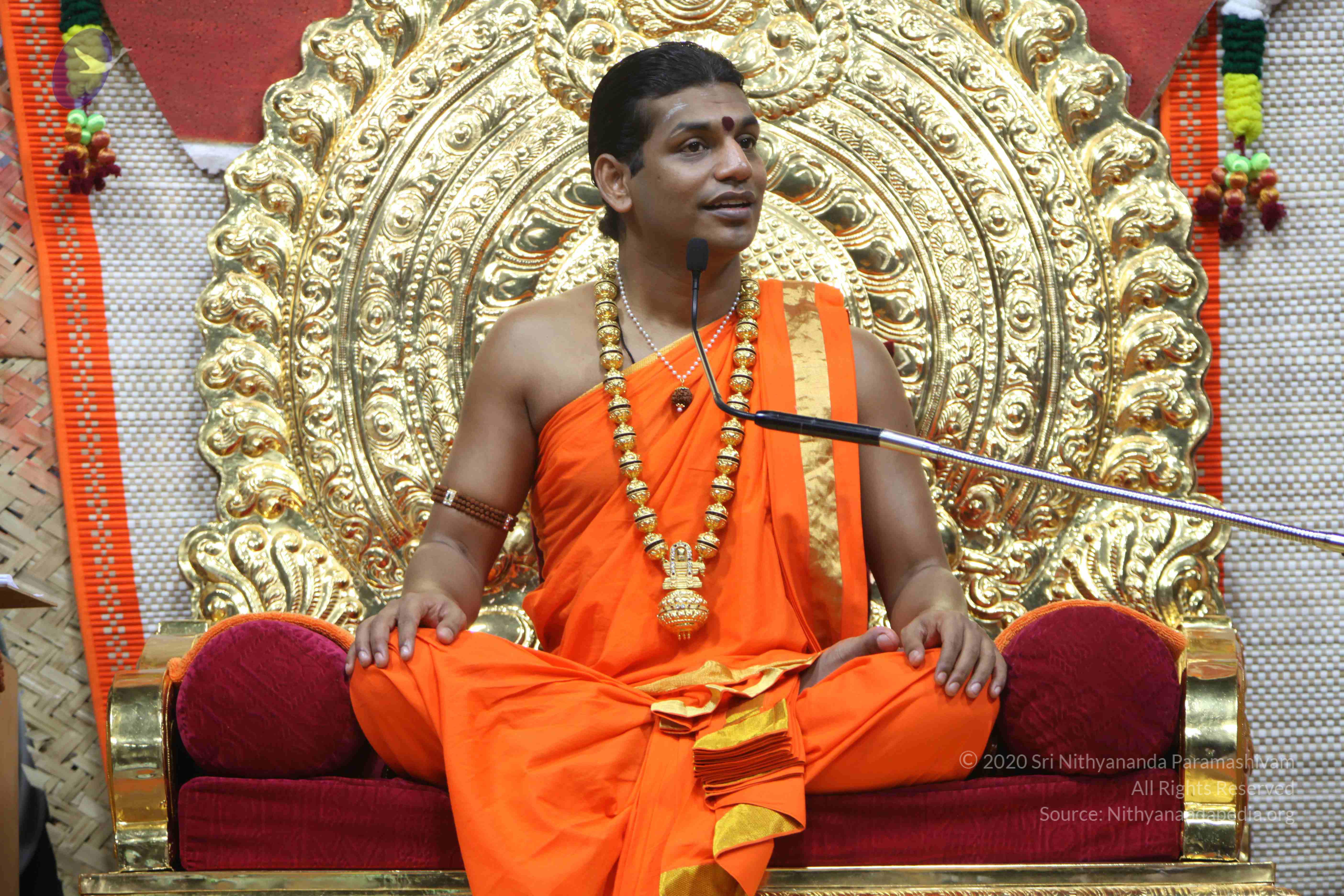 20110222_Photo_1072_IMG_9620_CMP_WM