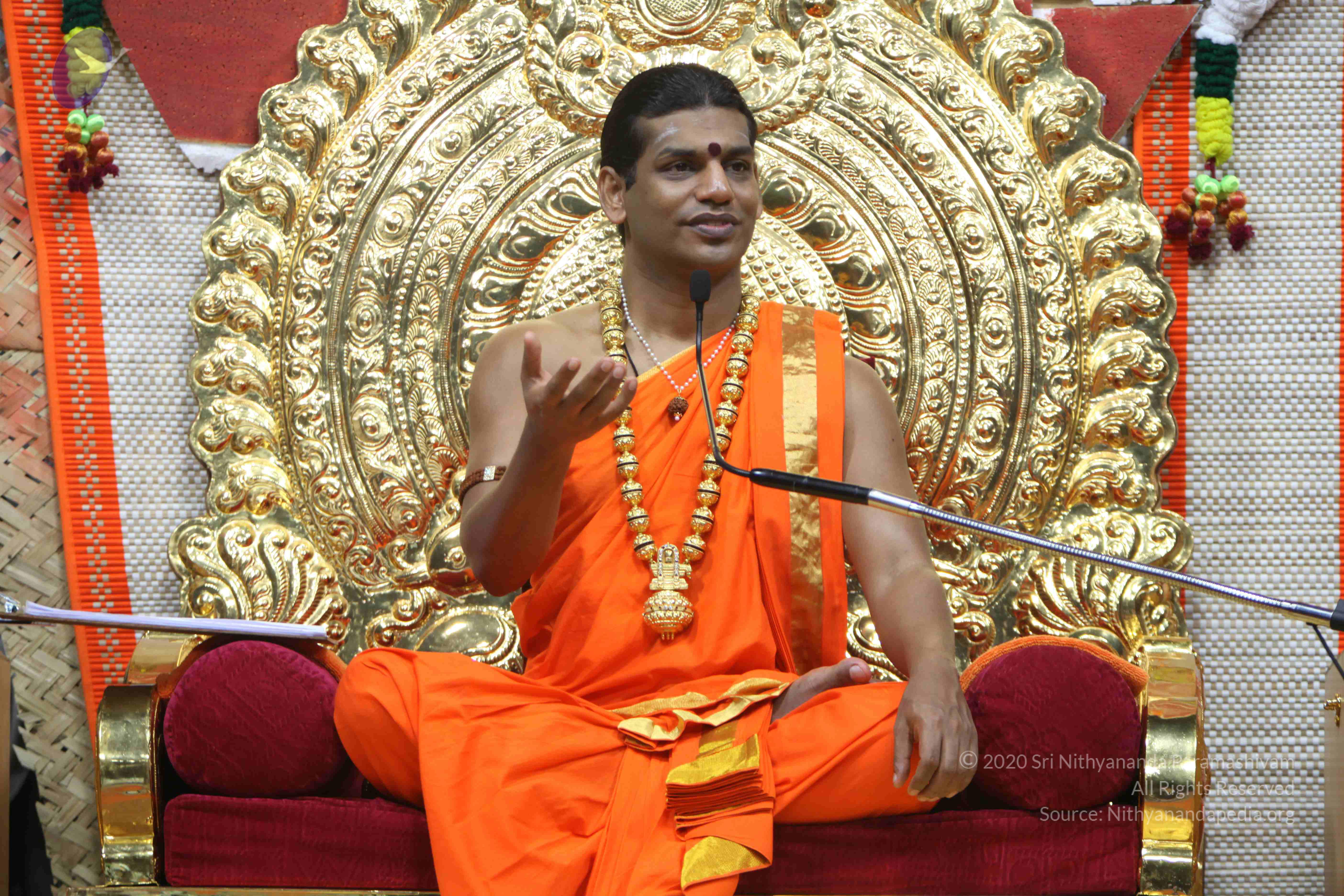 20110222_Photo_1075_IMG_9389_CMP_WM