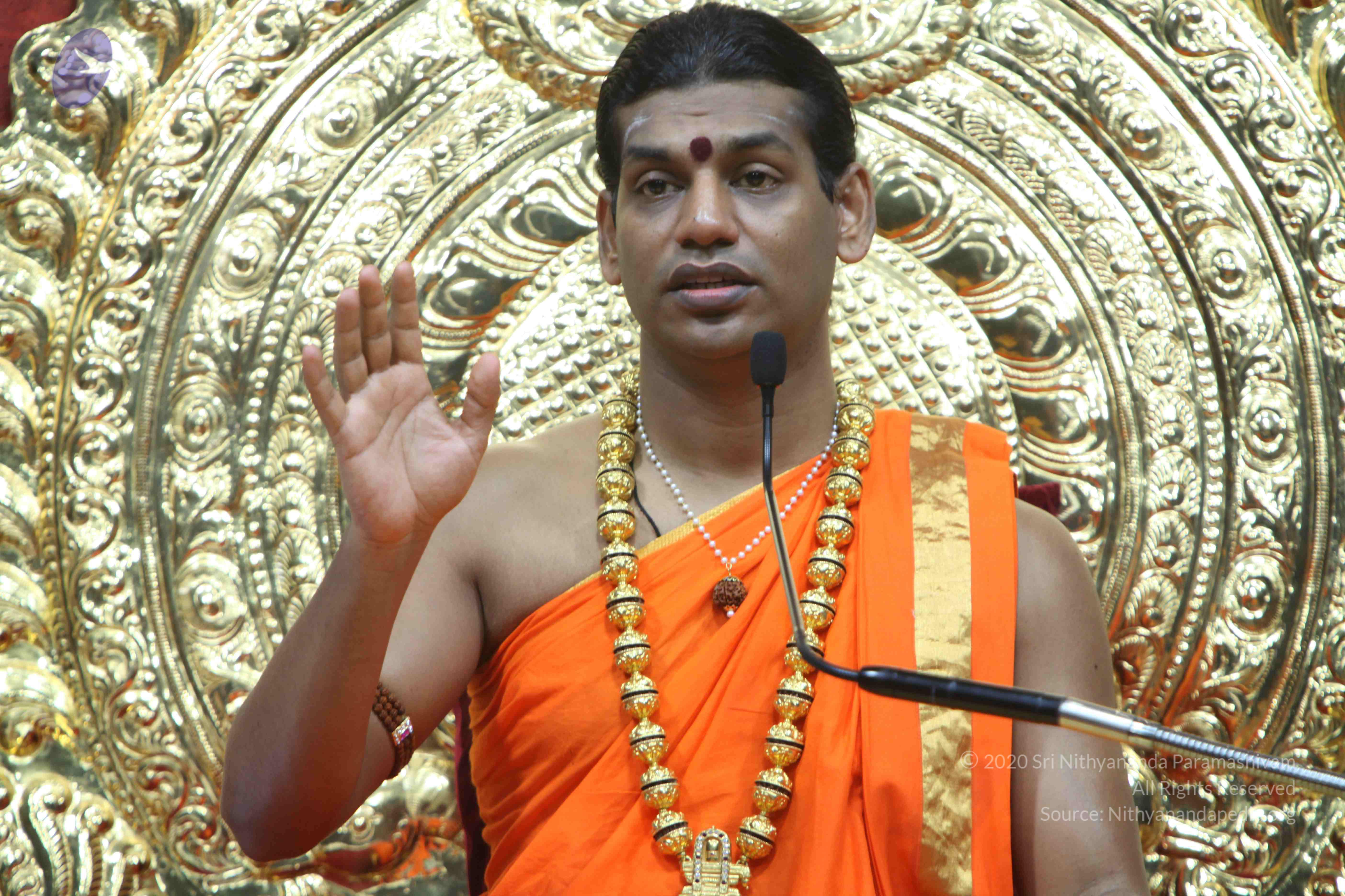 20110222_Photo_1078_IMG_9341_CMP_WM