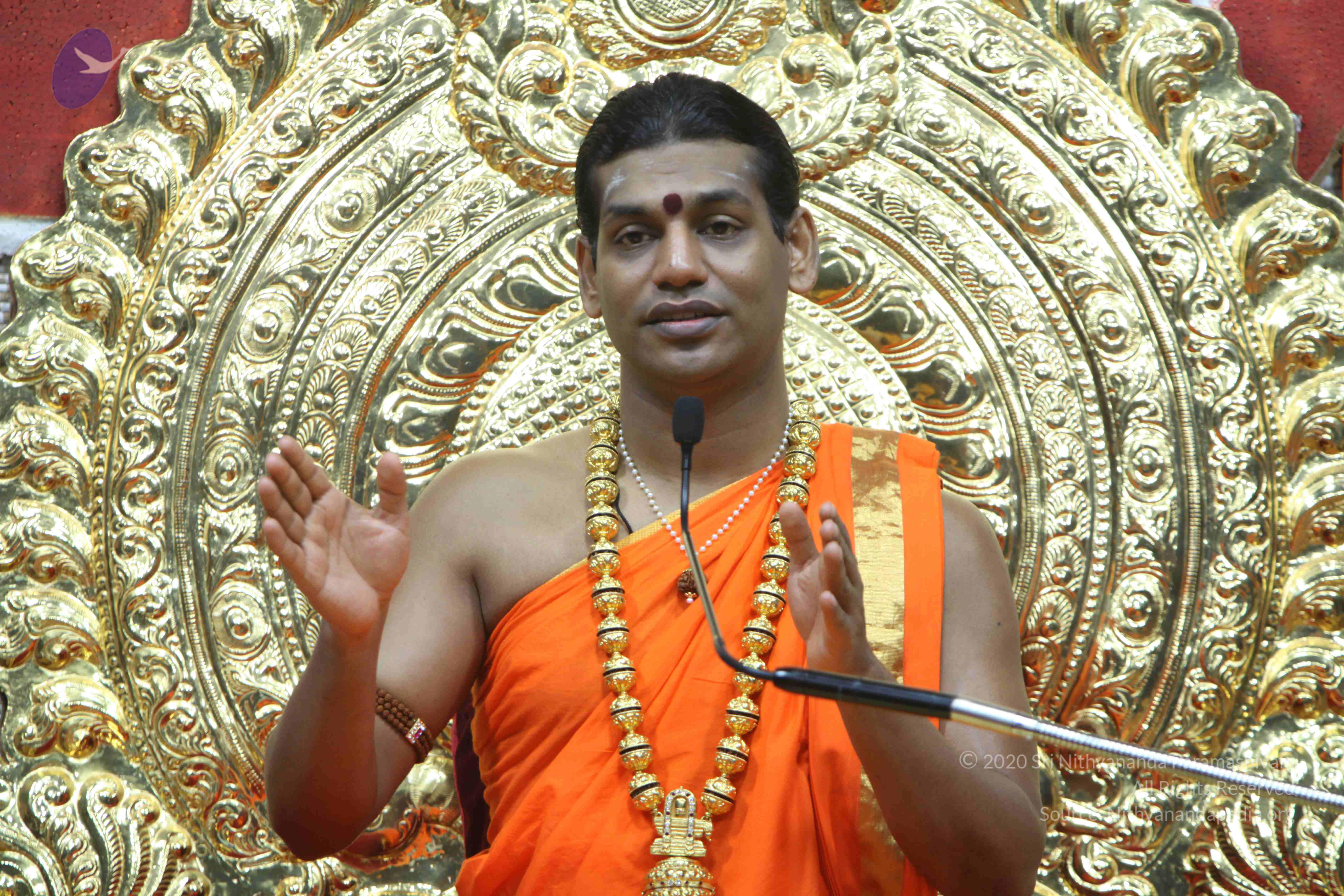 20110222_Photo_1086_IMG_9476_CMP_WM