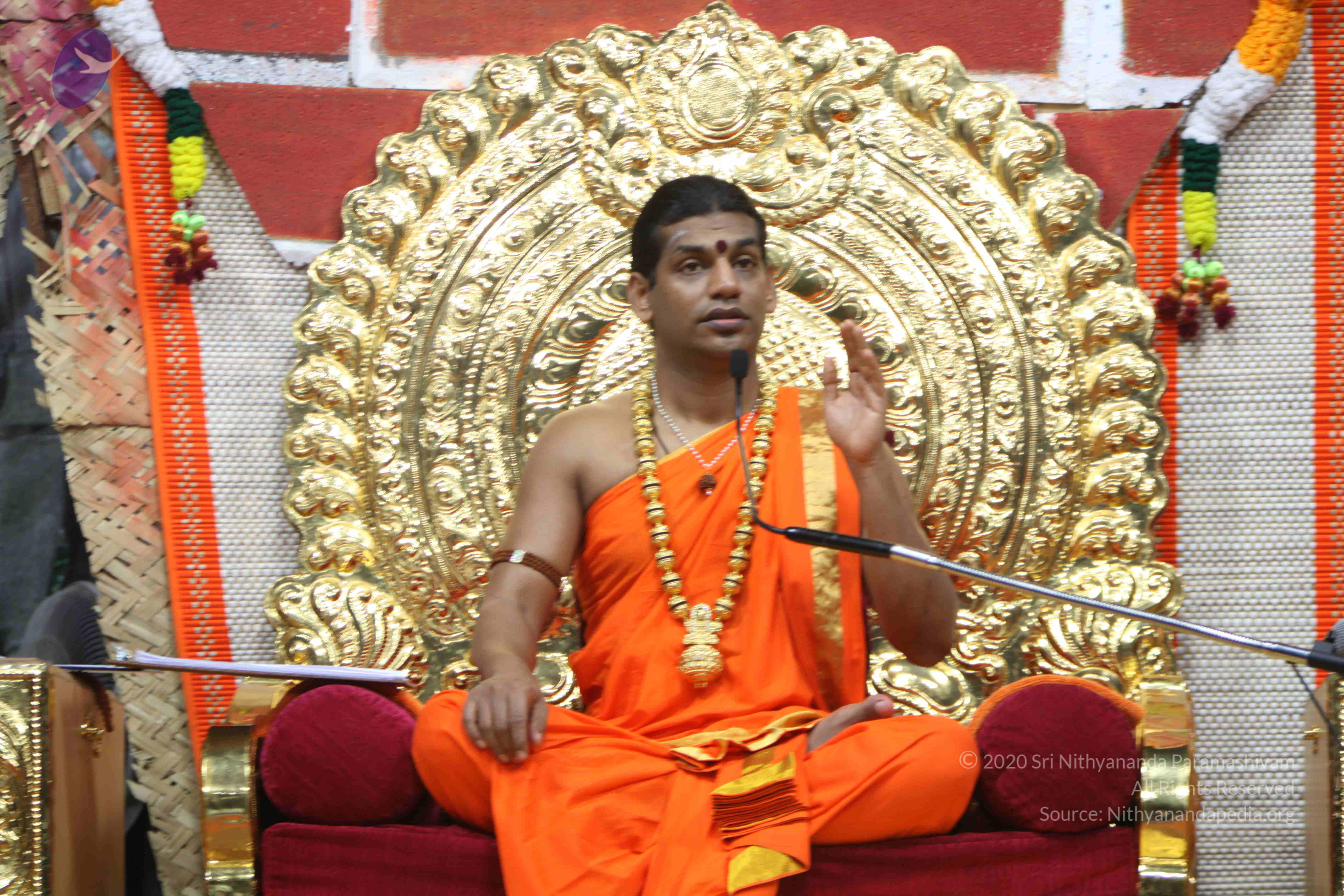 20110222_Photo_1093_IMG_9332_CMP_WM