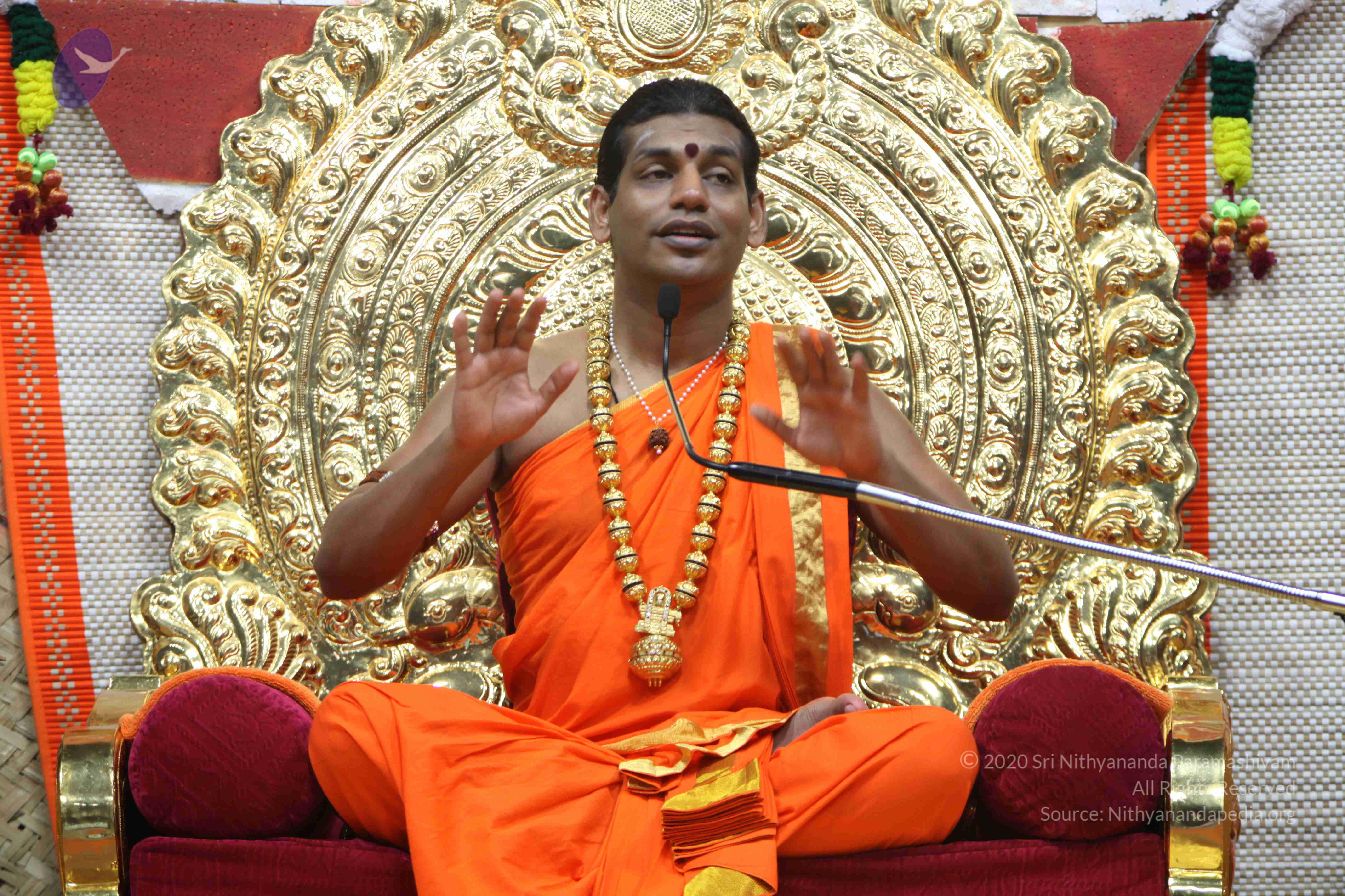 20110222_Photo_1109_IMG_9606_CMP_WM