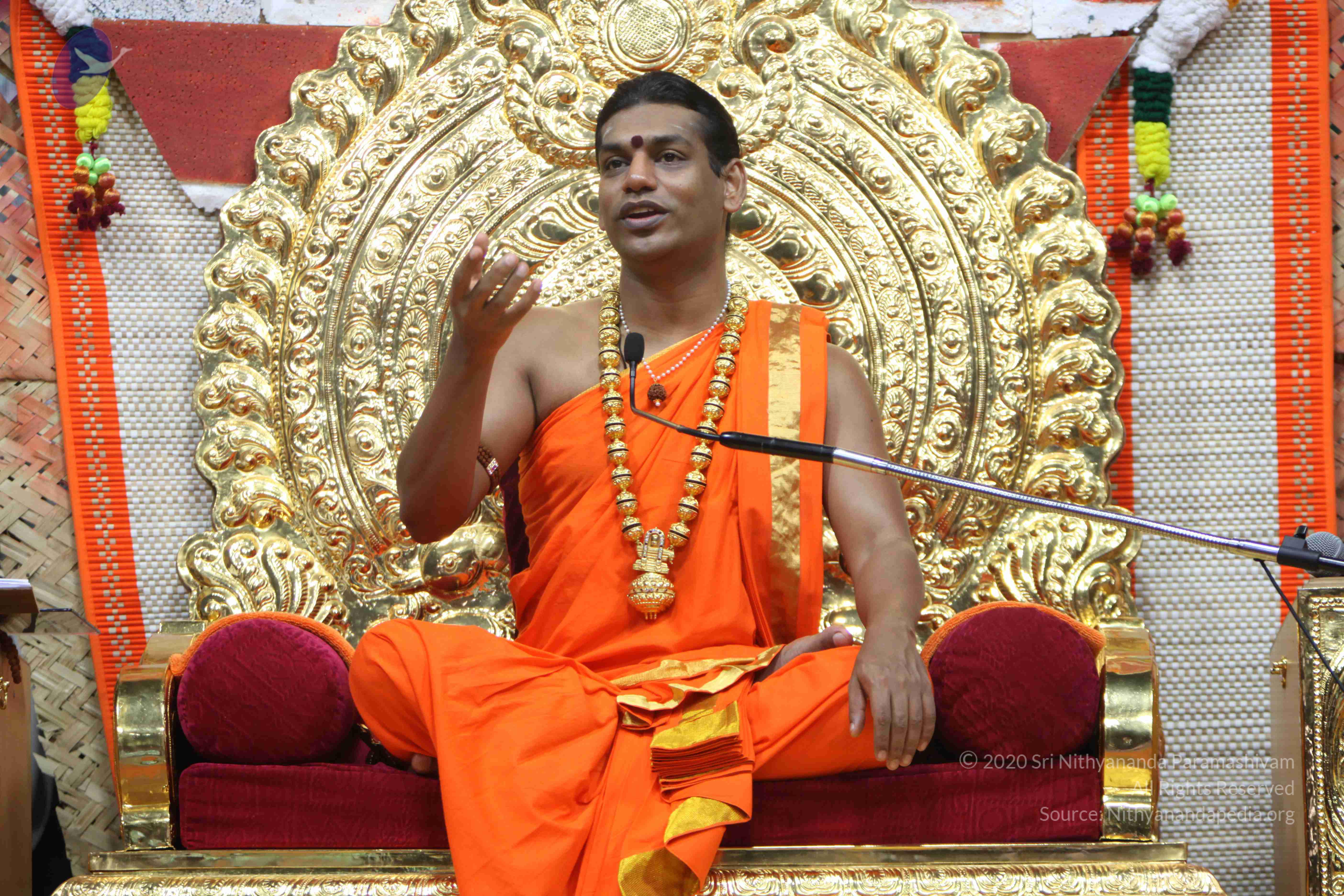 20110222_Photo_1111_IMG_9712_CMP_WM