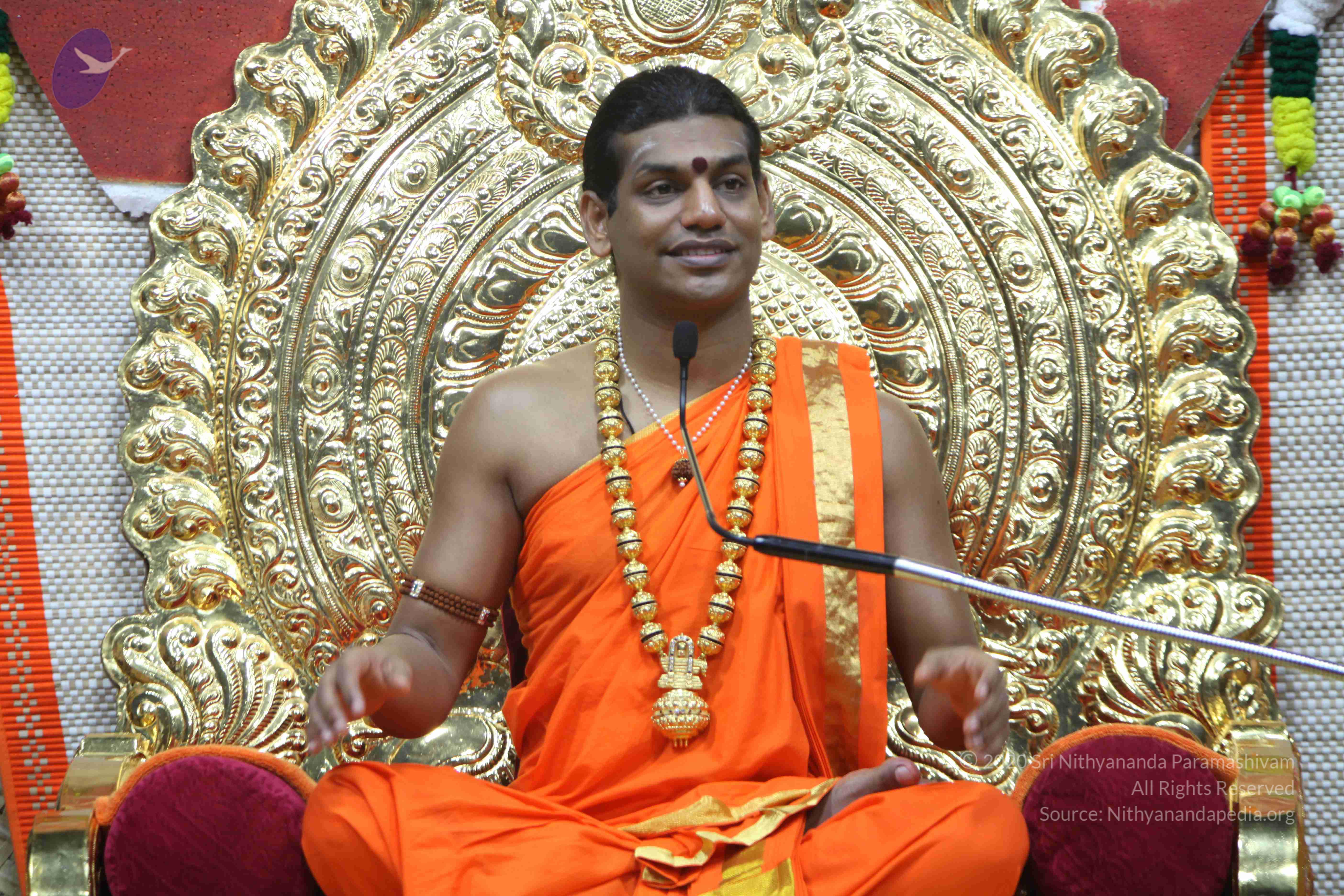 20110222_Photo_1119_IMG_9484_CMP_WM