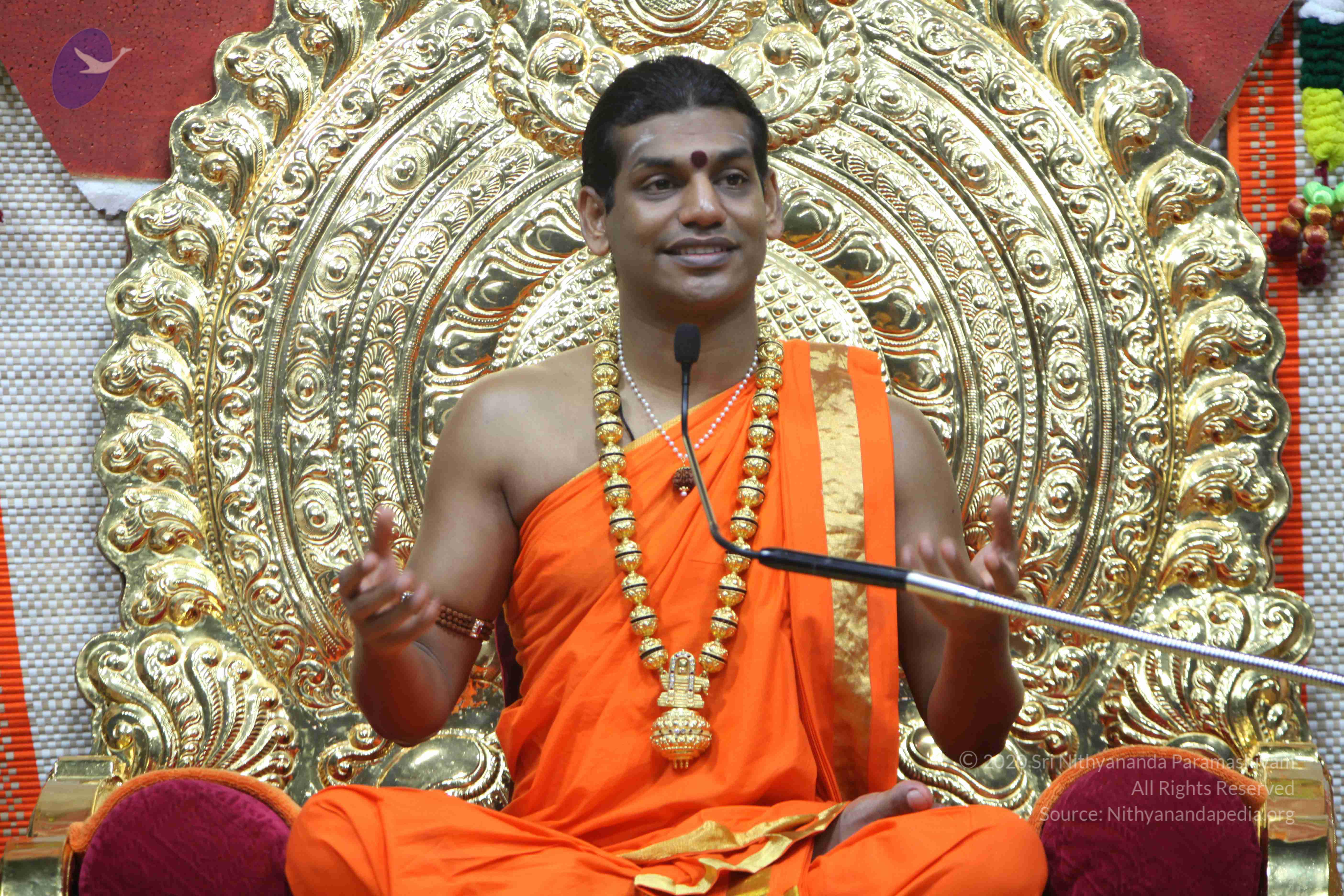 20110222_Photo_1123_IMG_9483_CMP_WM