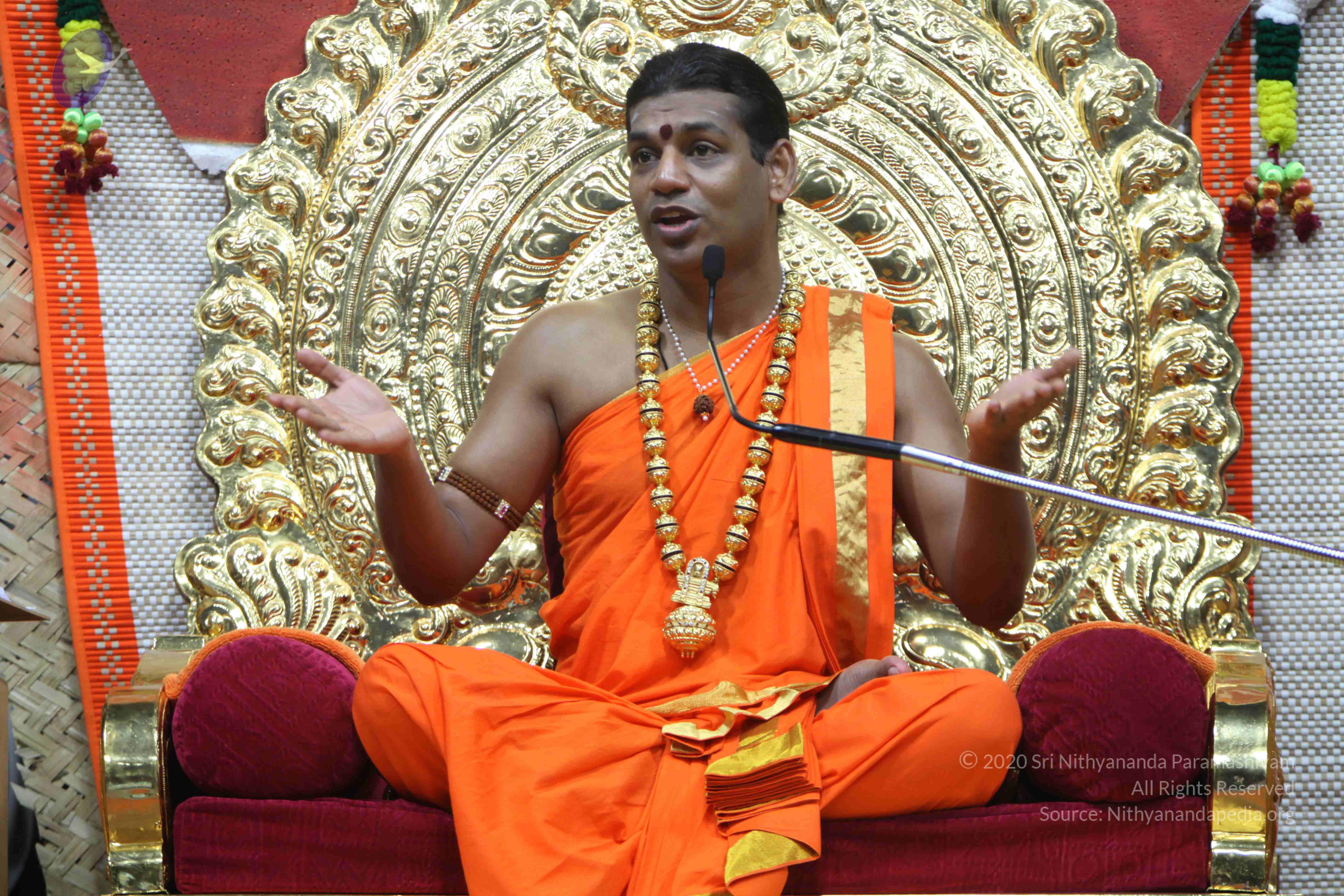 20110222_Photo_1129_IMG_9601_CMP_WM