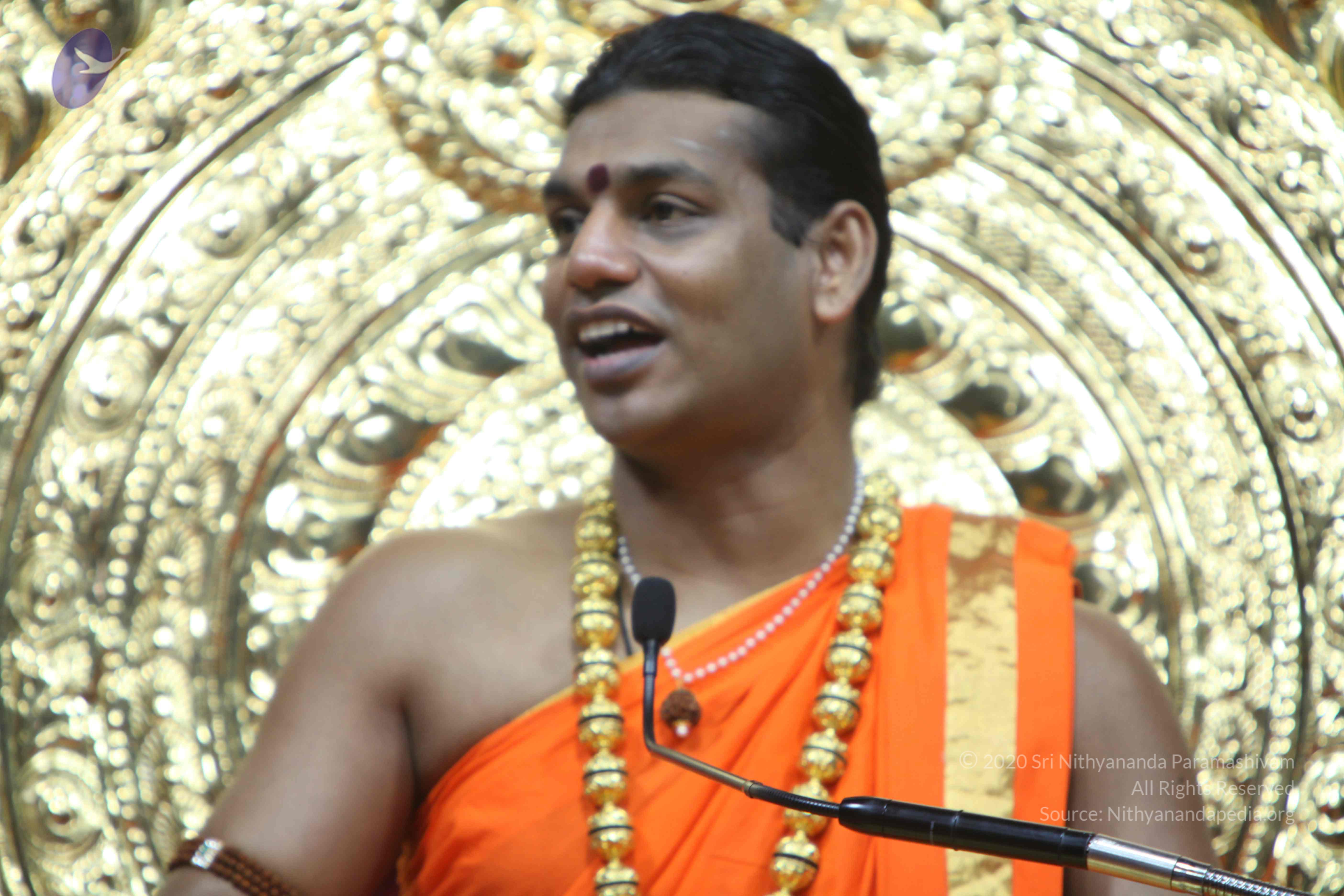 20110222_Photo_1156_IMG_9718_CMP_WM