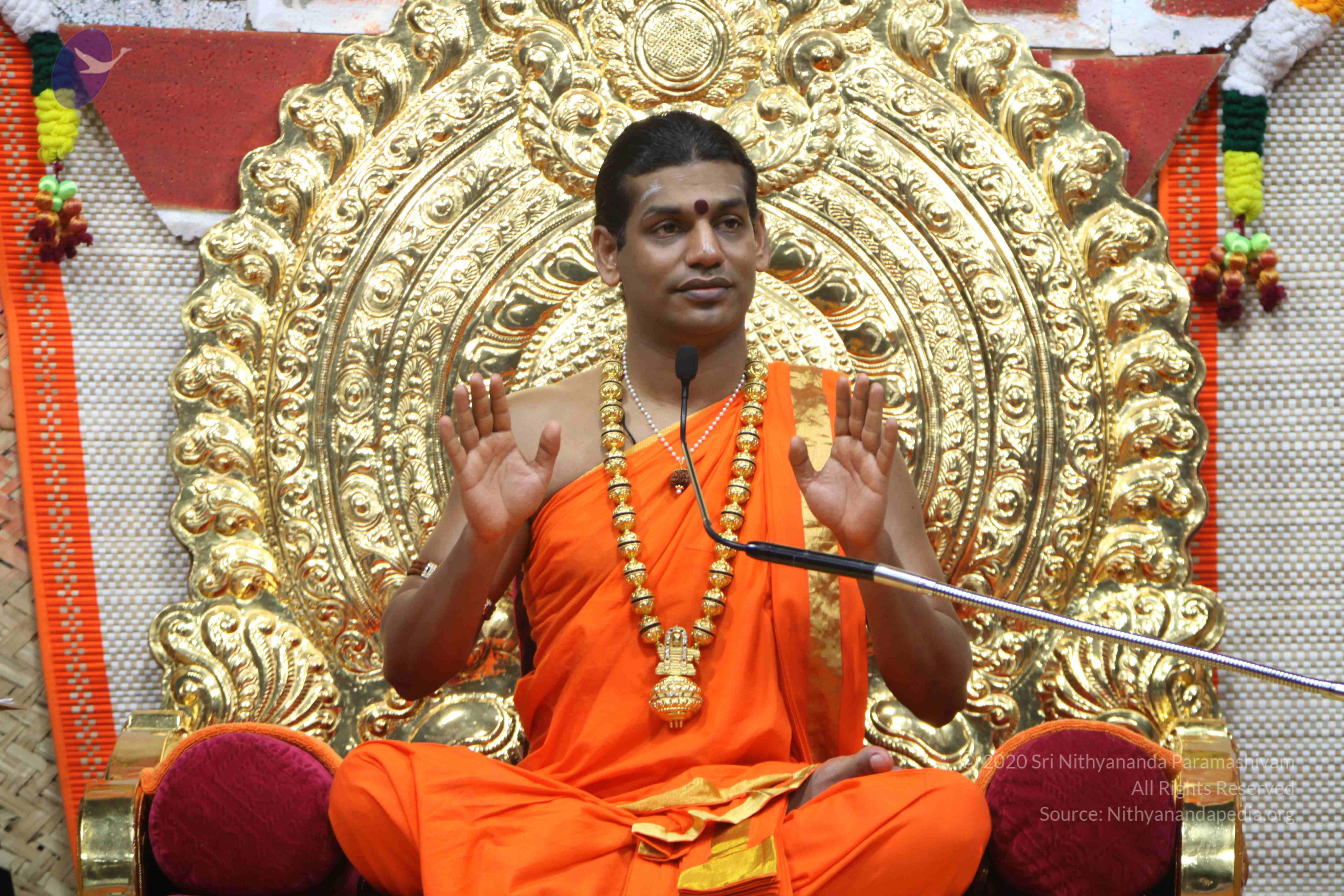 20110222_Photo_1159_IMG_9471_CMP_WM