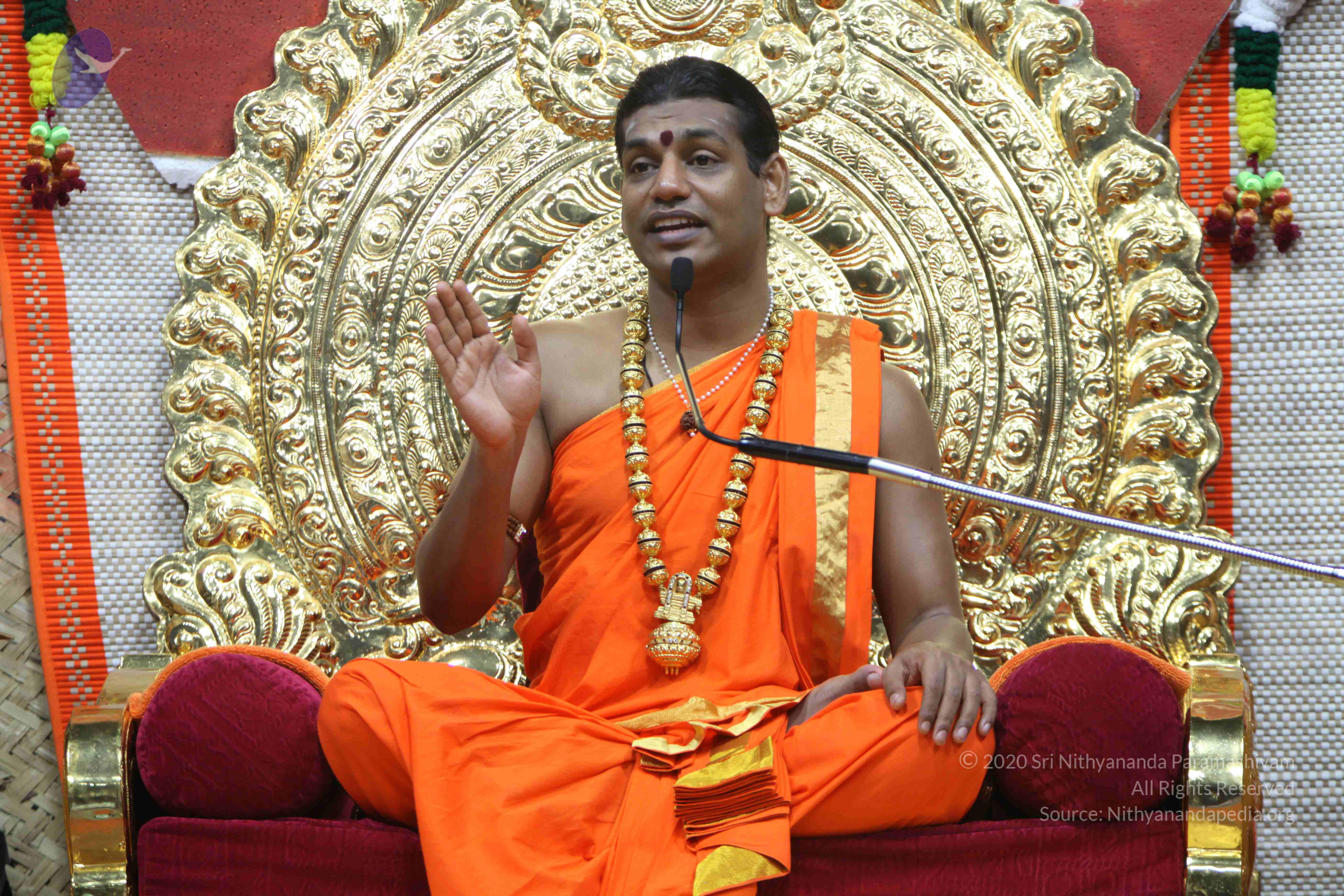 20110222_Photo_1162_IMG_9645_CMP_WM