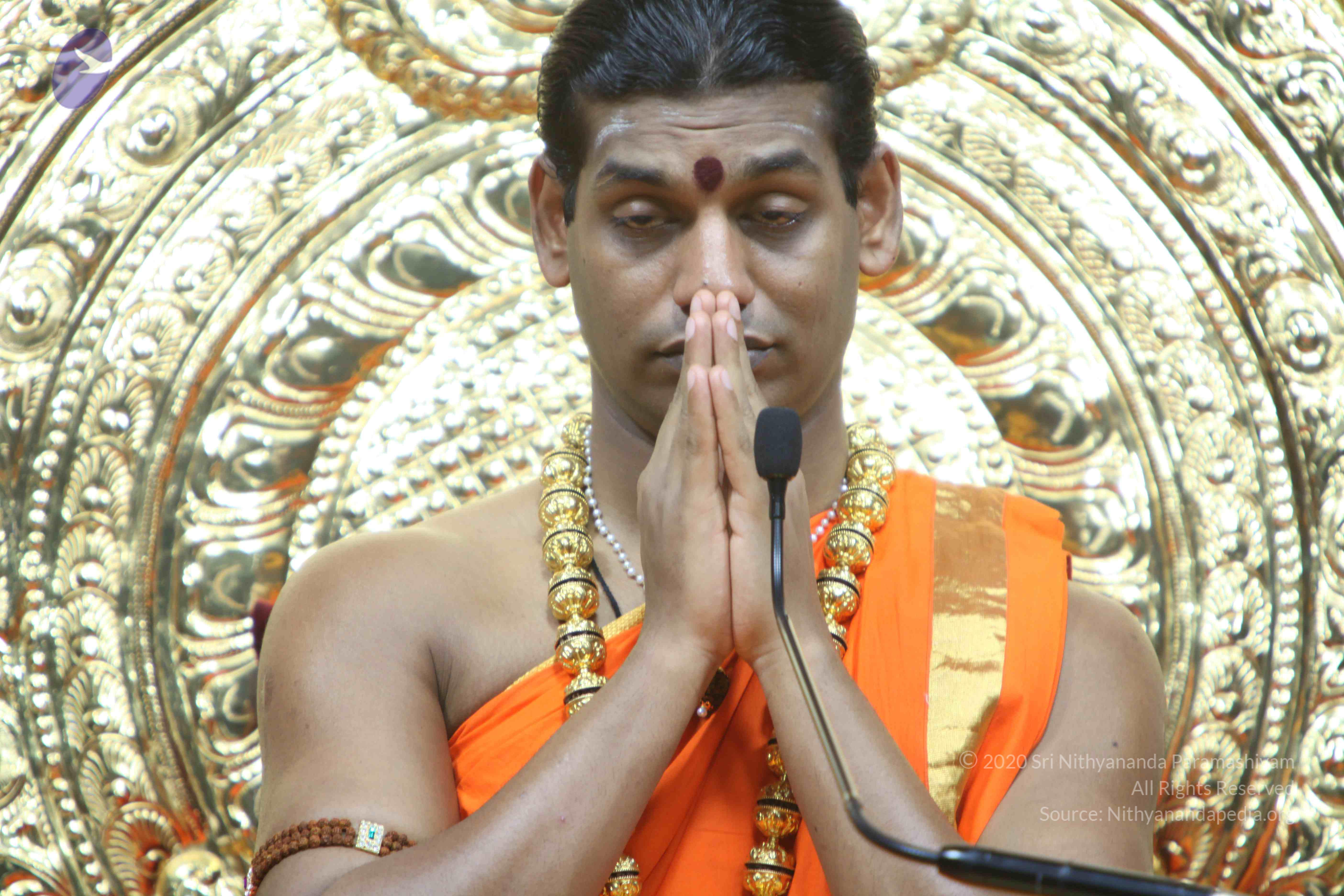 20110222_Photo_1164_IMG_9279_CMP_WM