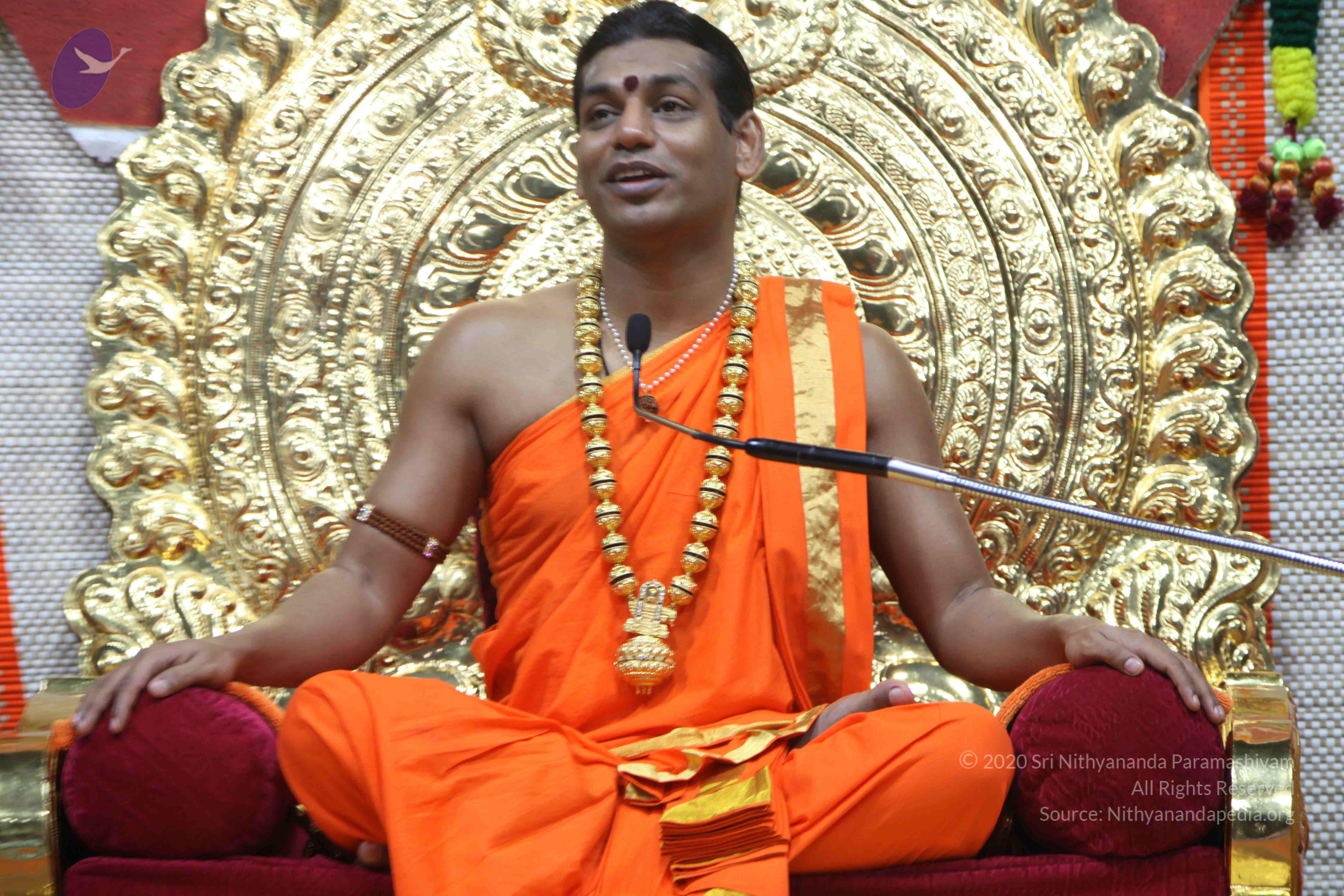 20110222_Photo_1165_IMG_9751_CMP_WM