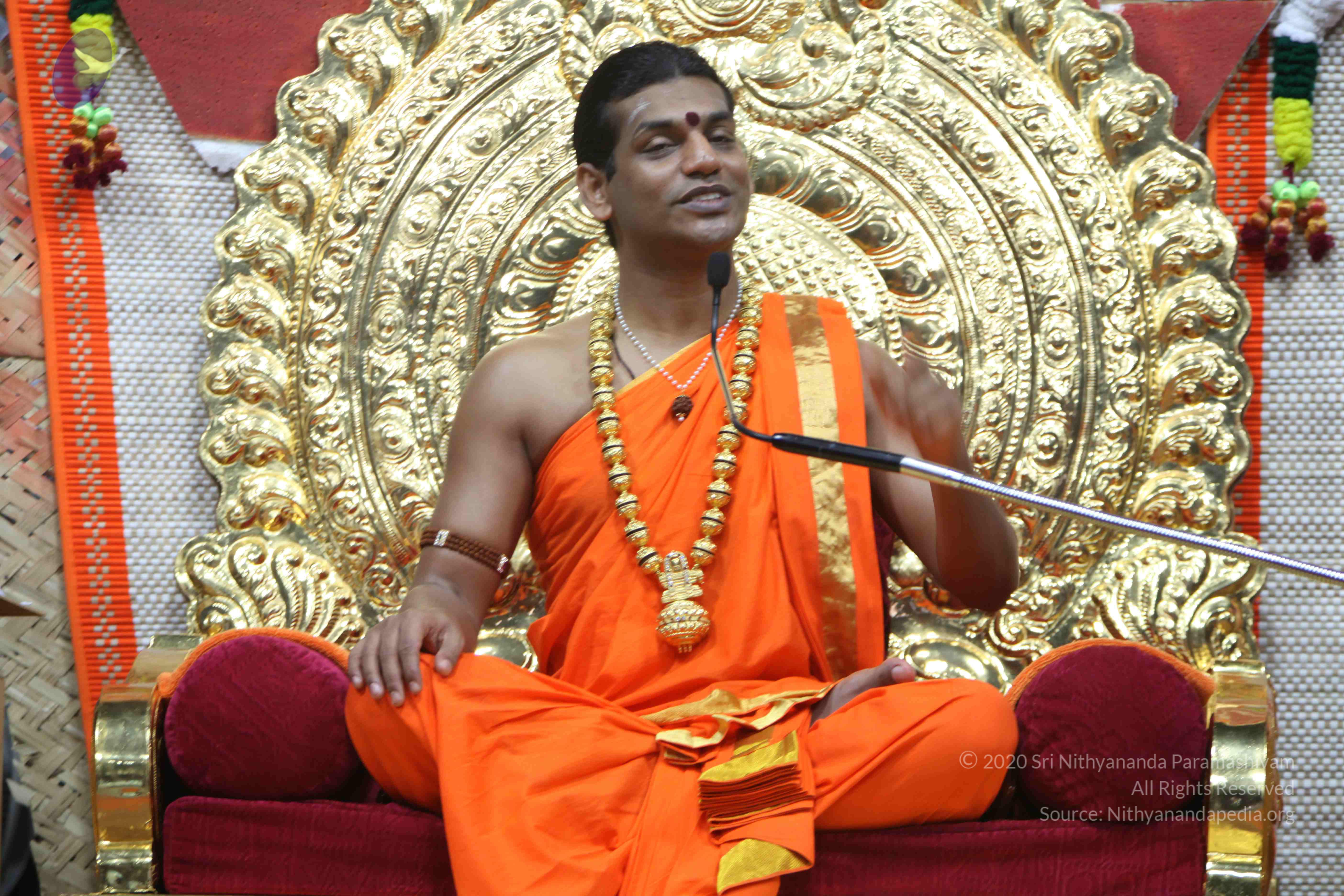 20110222_Photo_1167_IMG_9627_CMP_WM