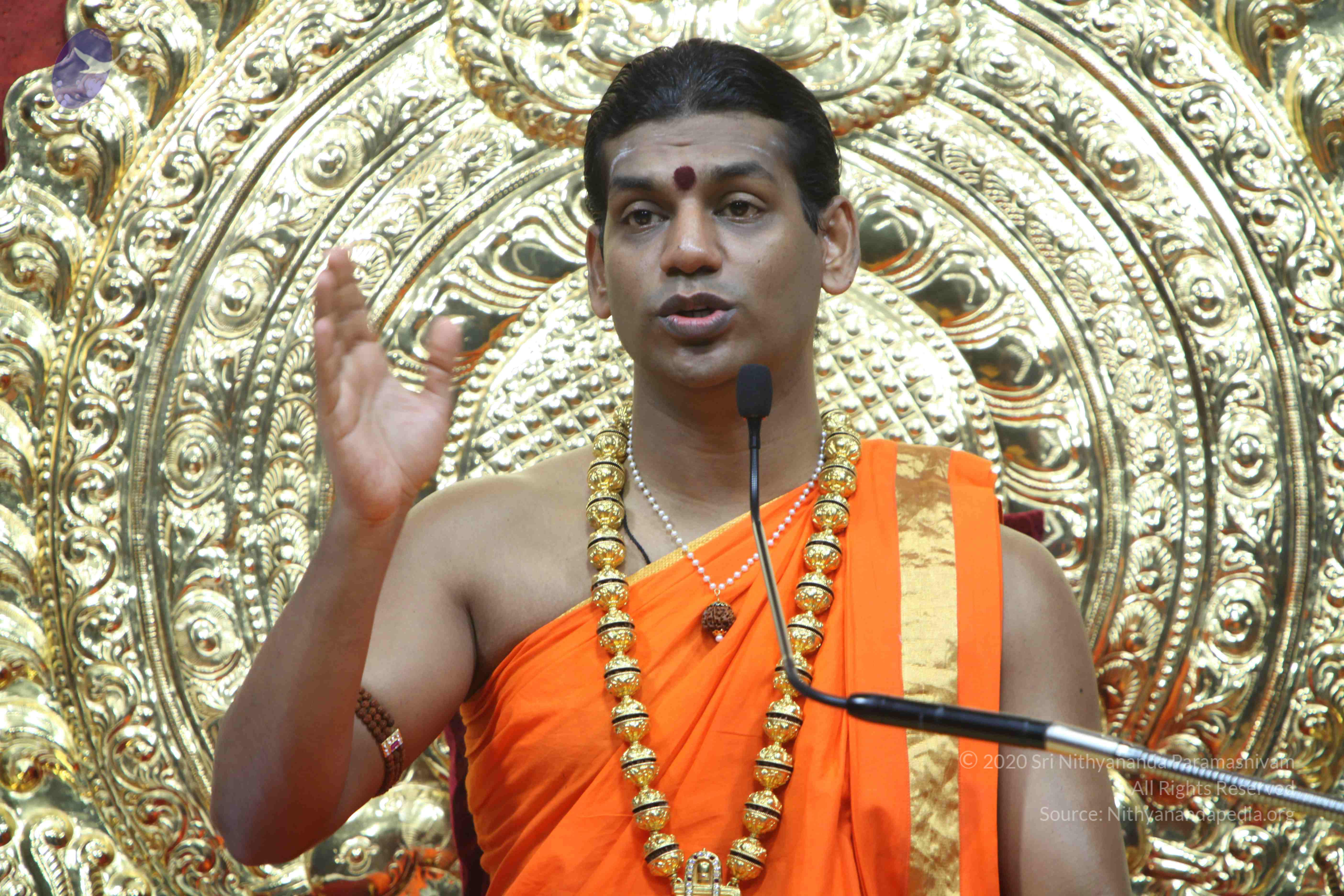 20110222_Photo_1168_IMG_9338_CMP_WM