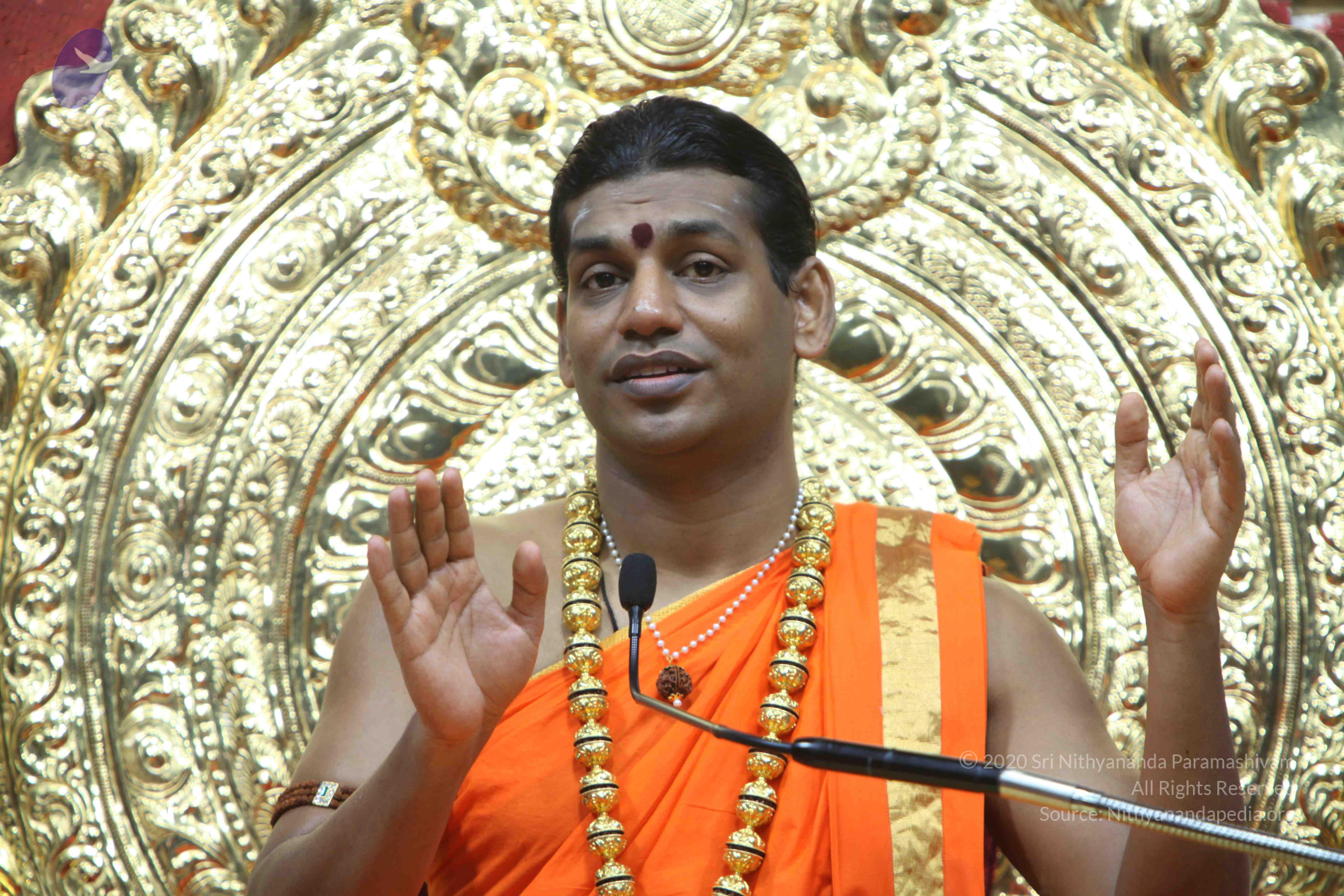 20110222_Photo_1169_IMG_9704_CMP_WM