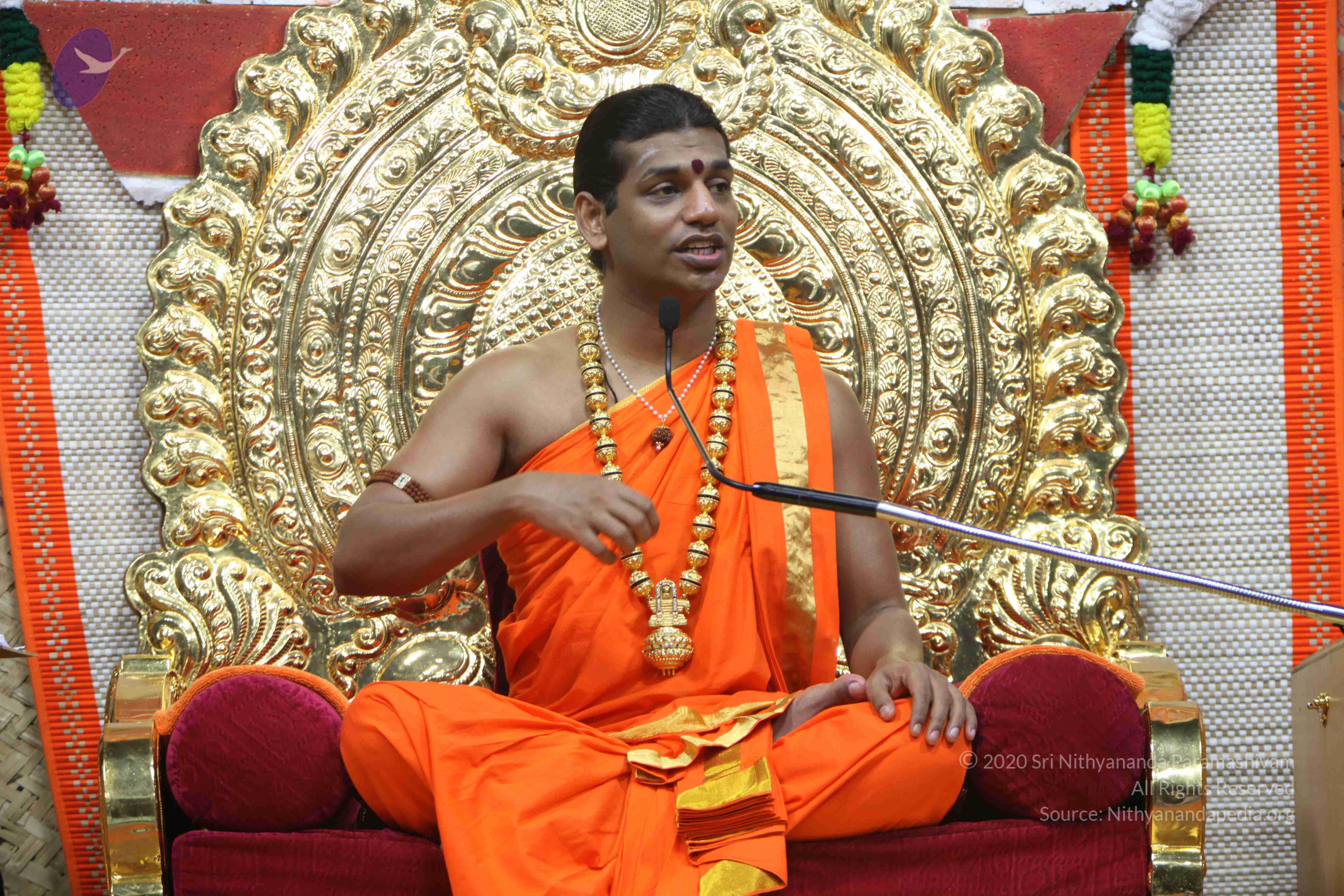 20110222_Photo_1170_IMG_9586_CMP_WM