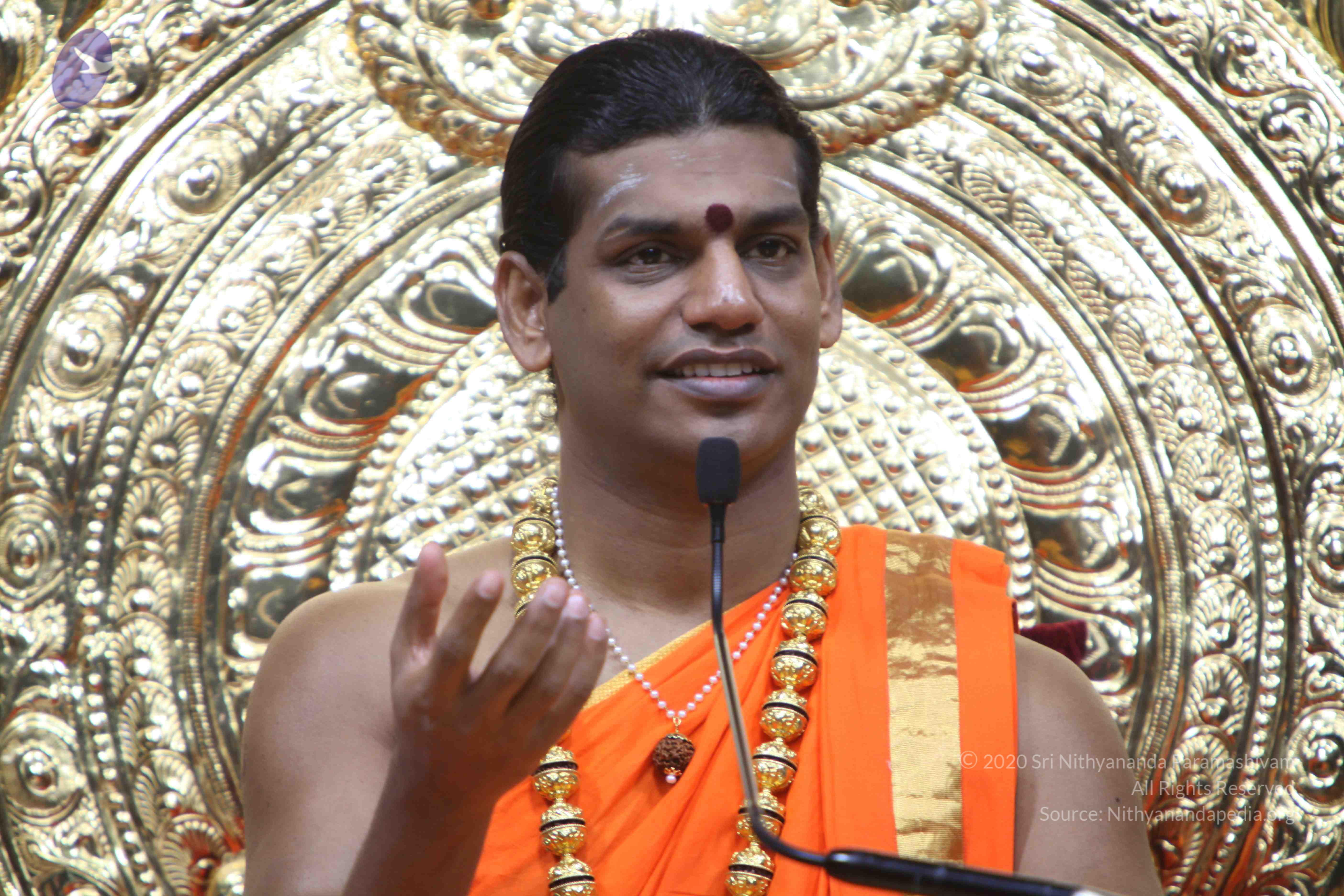 20110222_Photo_1174_IMG_9392_CMP_WM