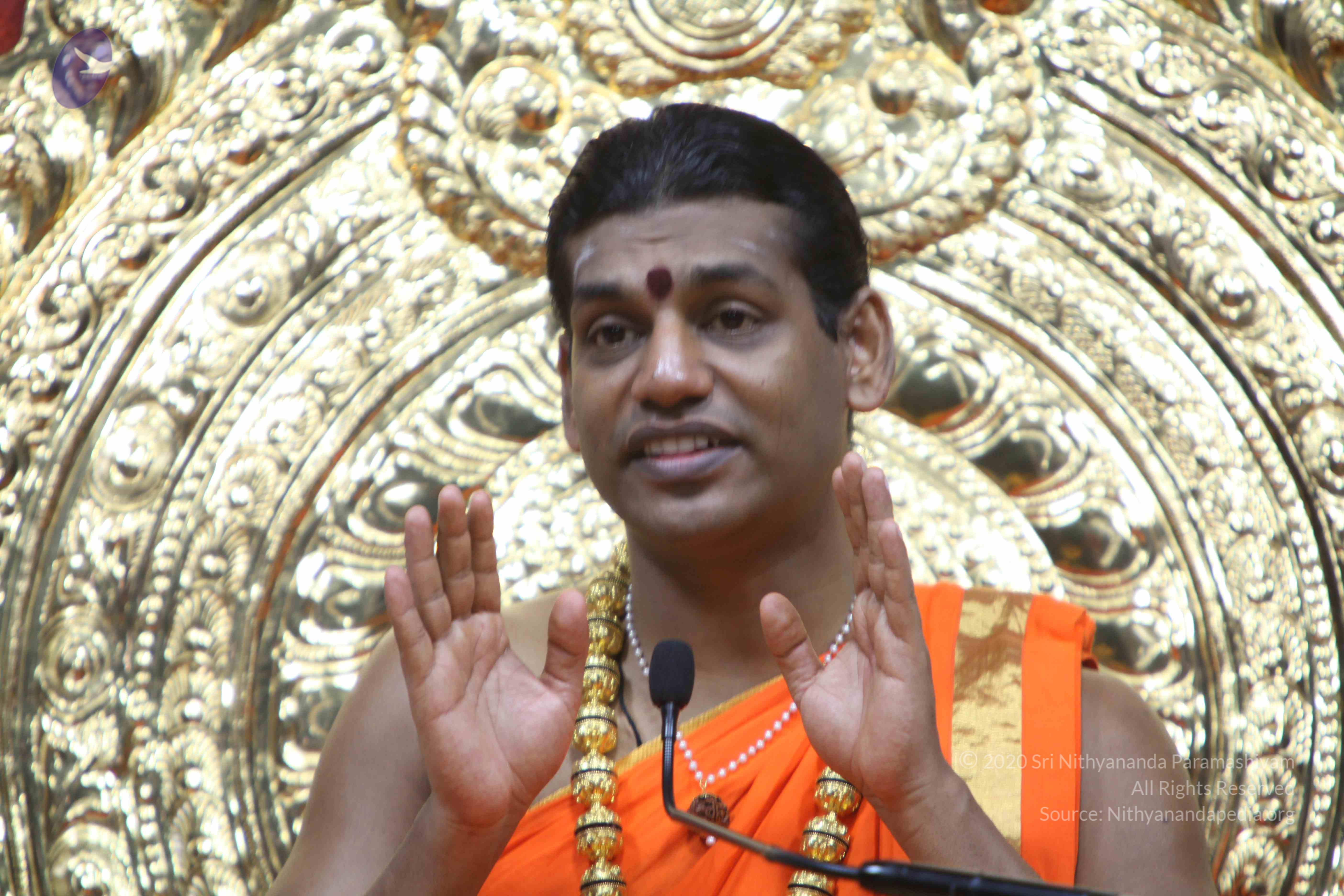 20110222_Photo_1177_IMG_9694_CMP_WM