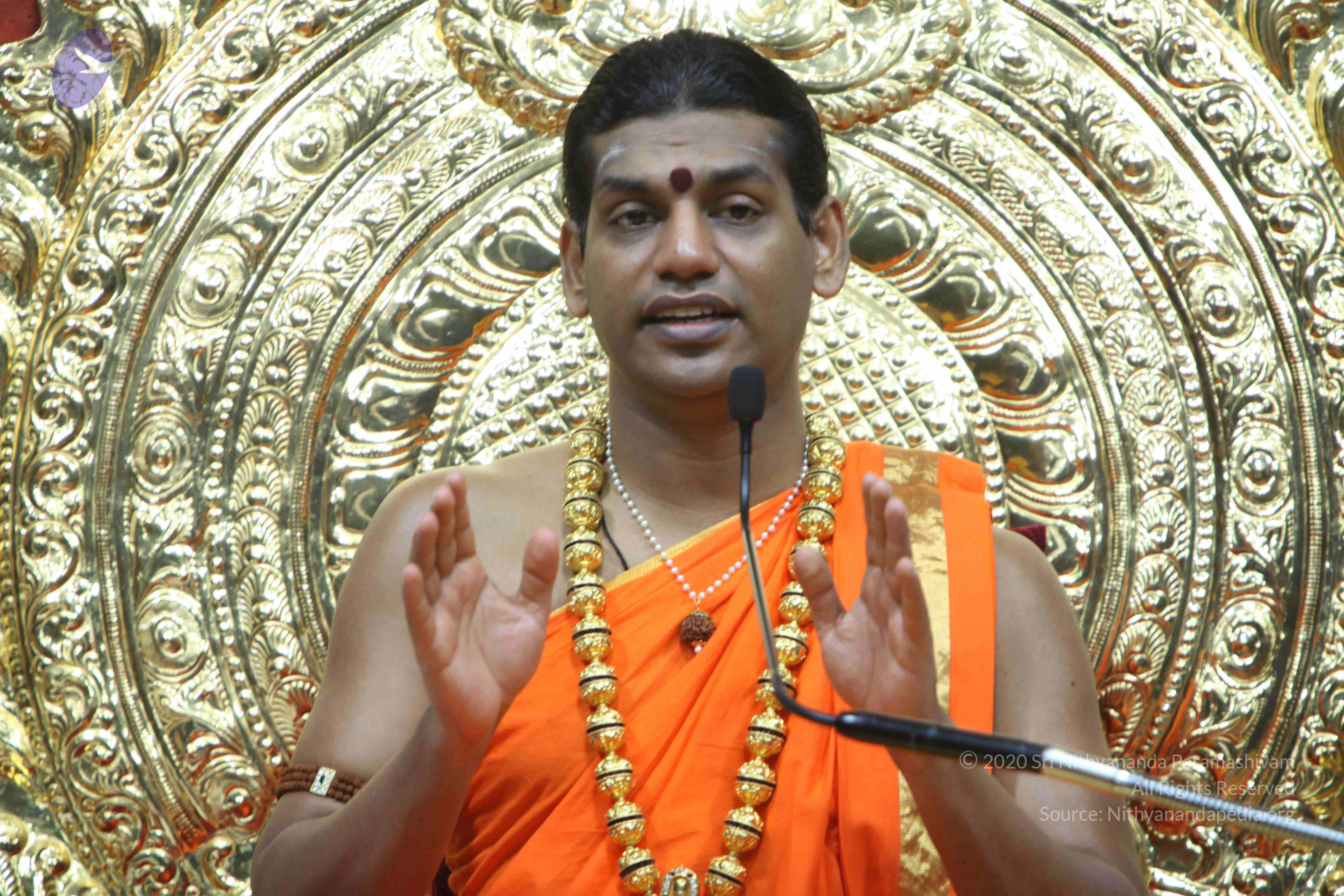 20110222_Photo_1180_IMG_9343_CMP_WM