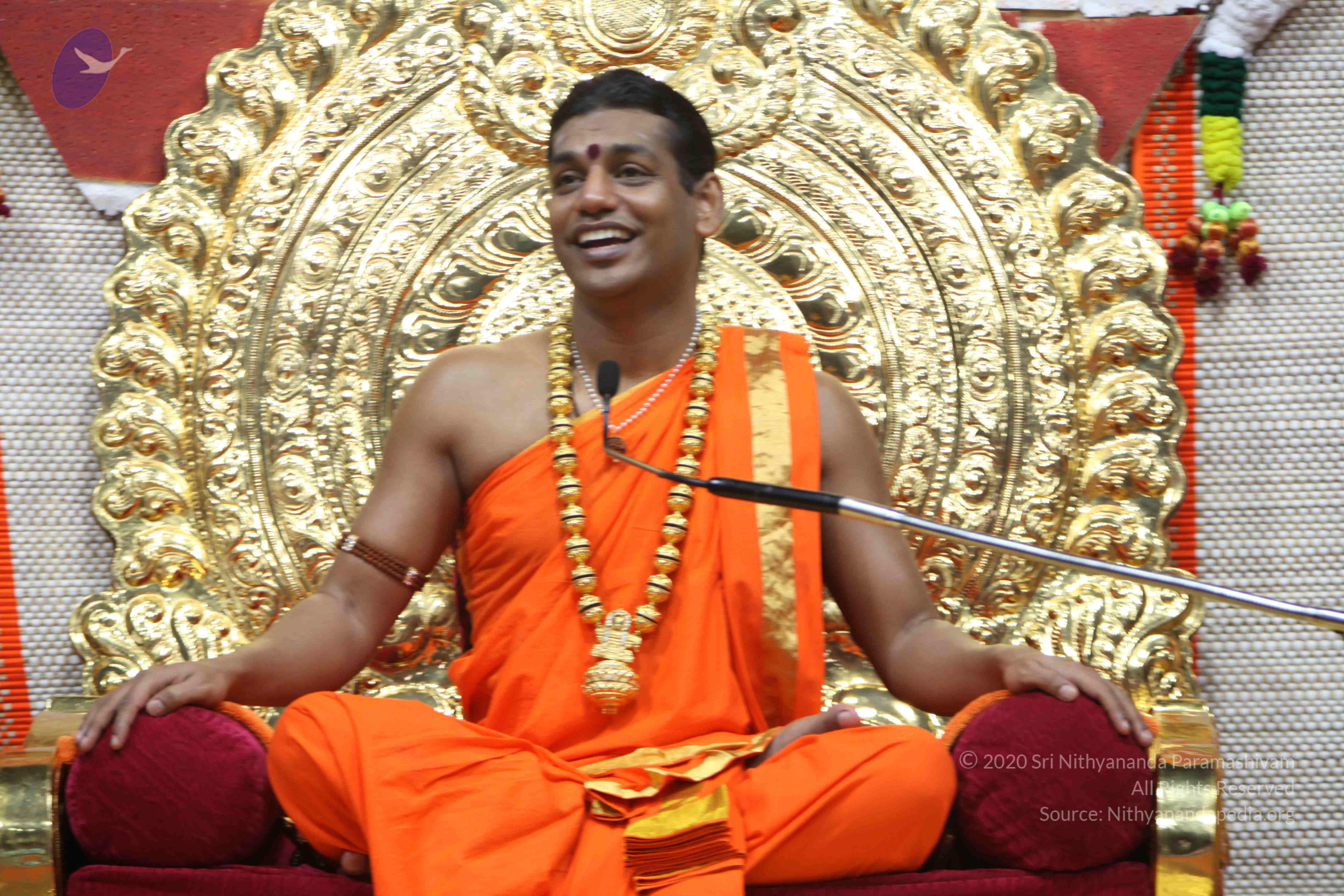 20110222_Photo_1184_IMG_9748_CMP_WM