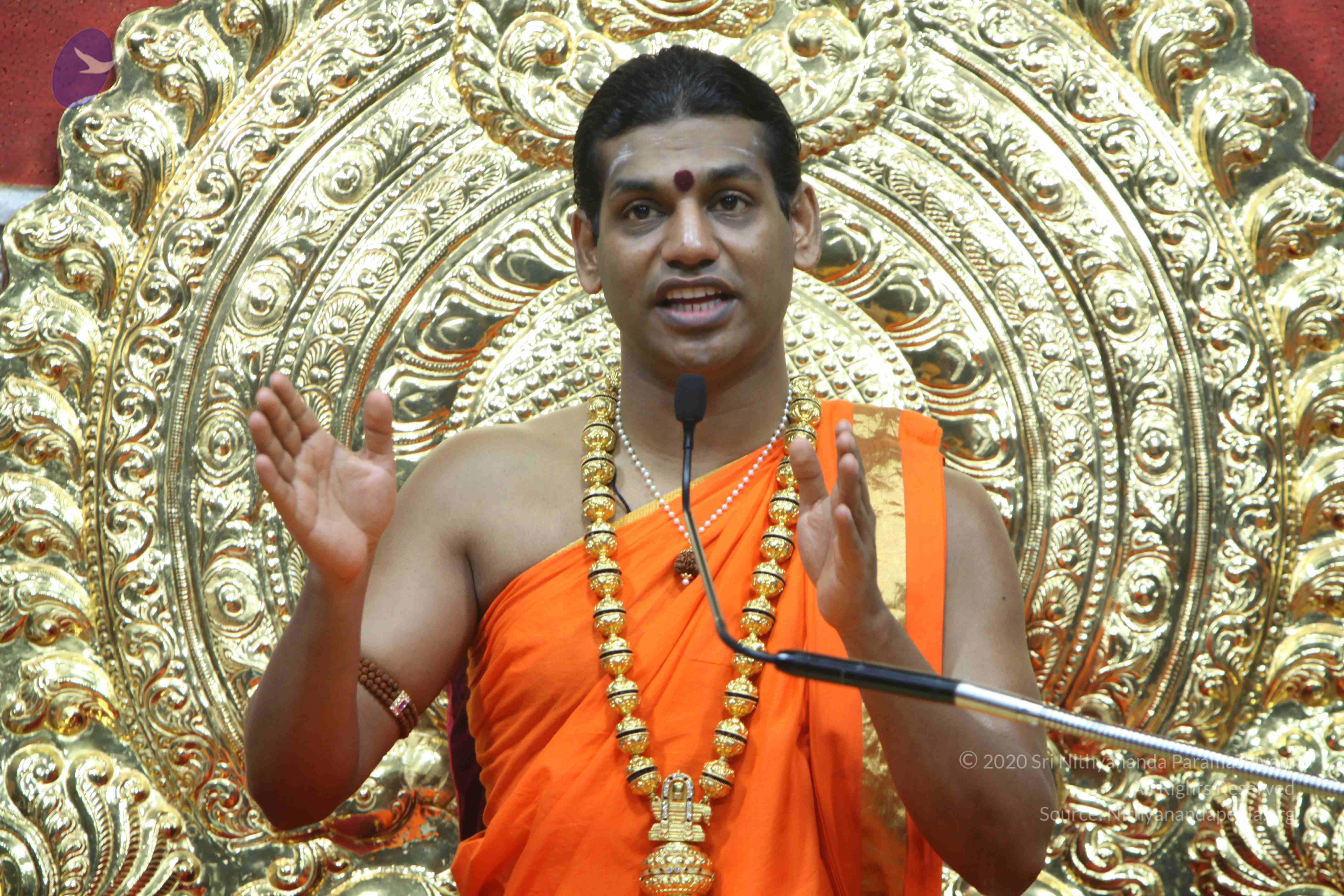 20110222_Photo_1187_IMG_9474_CMP_WM