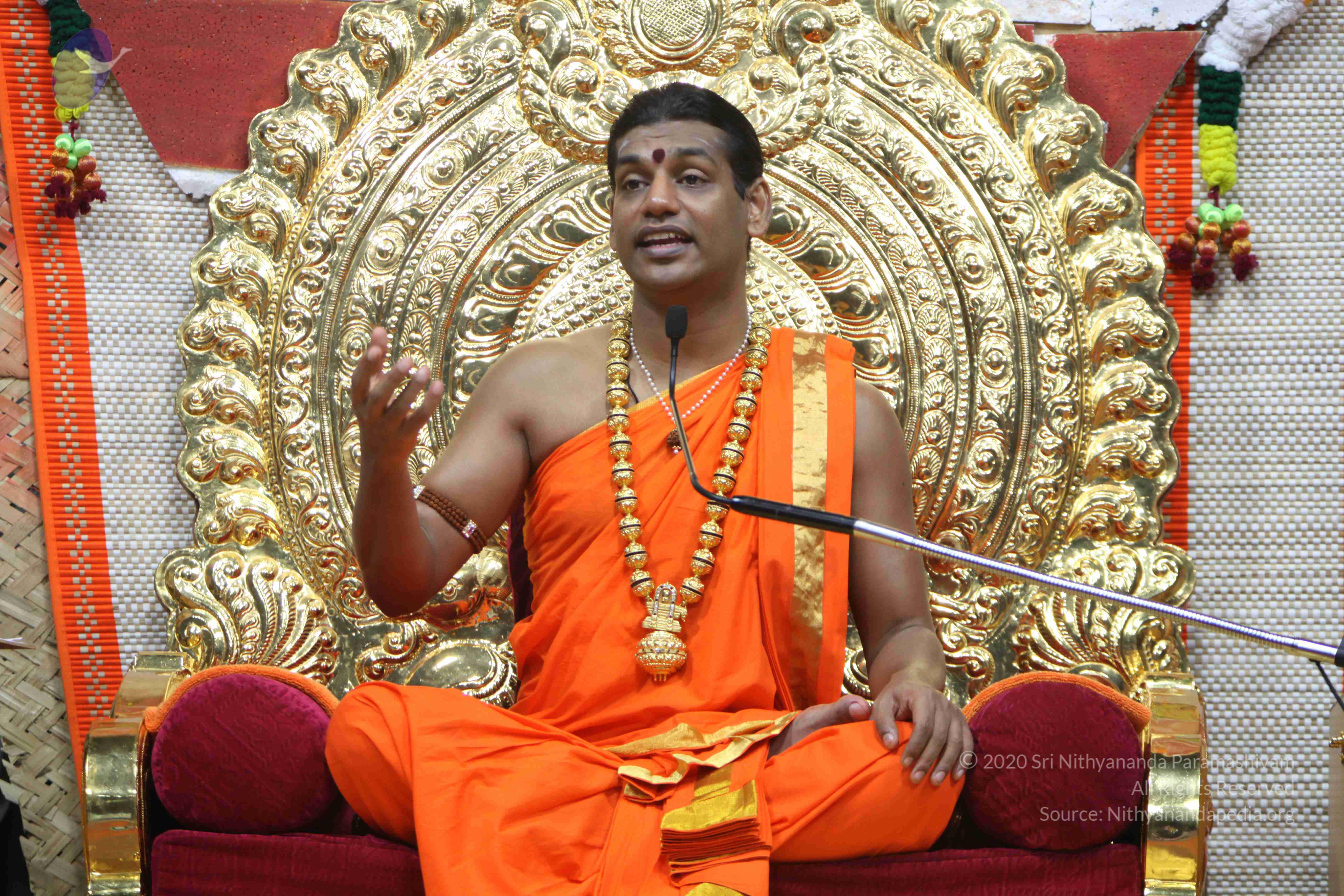 20110222_Photo_1191_IMG_9497_CMP_WM