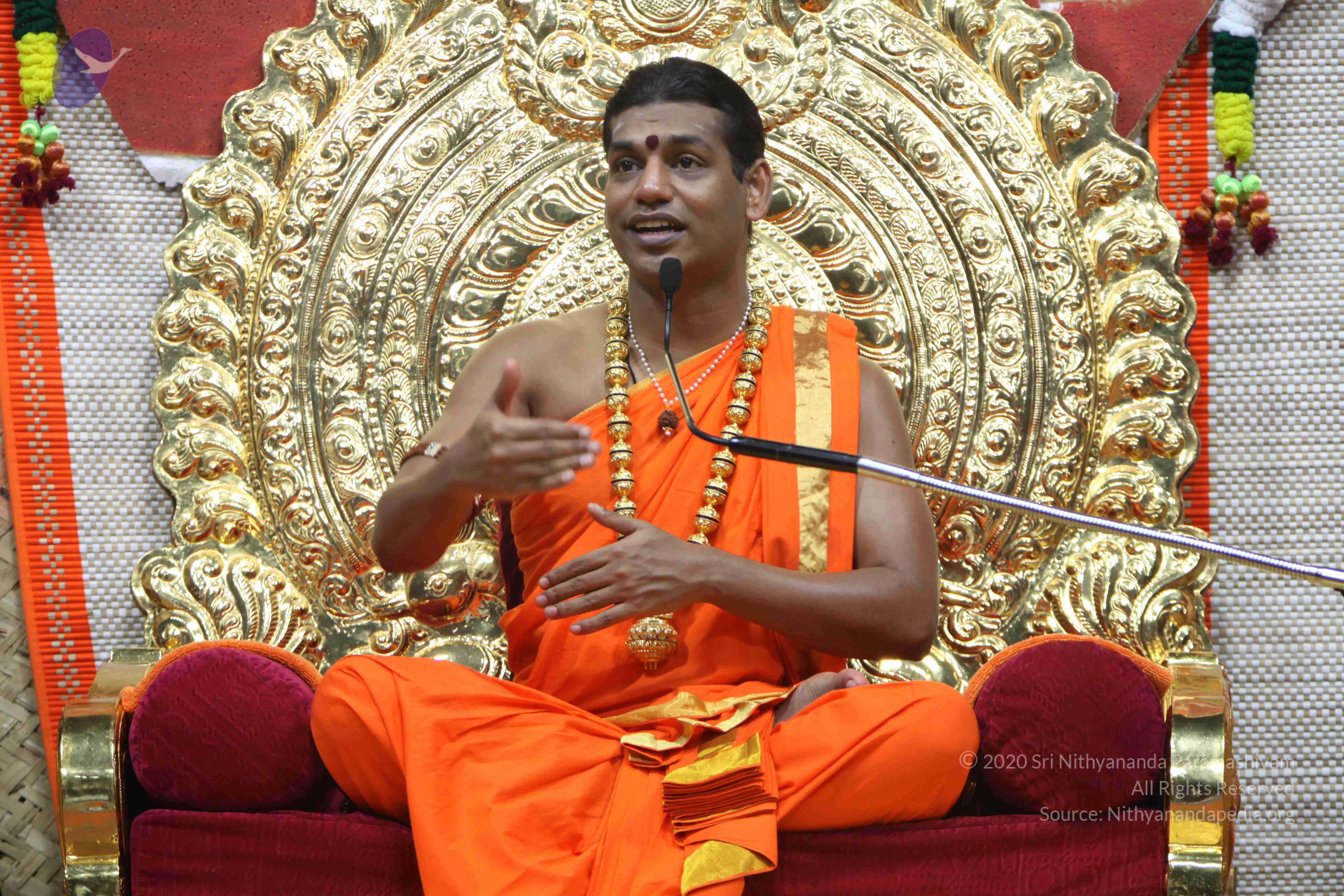 20110222_Photo_1209_IMG_9604_CMP_WM