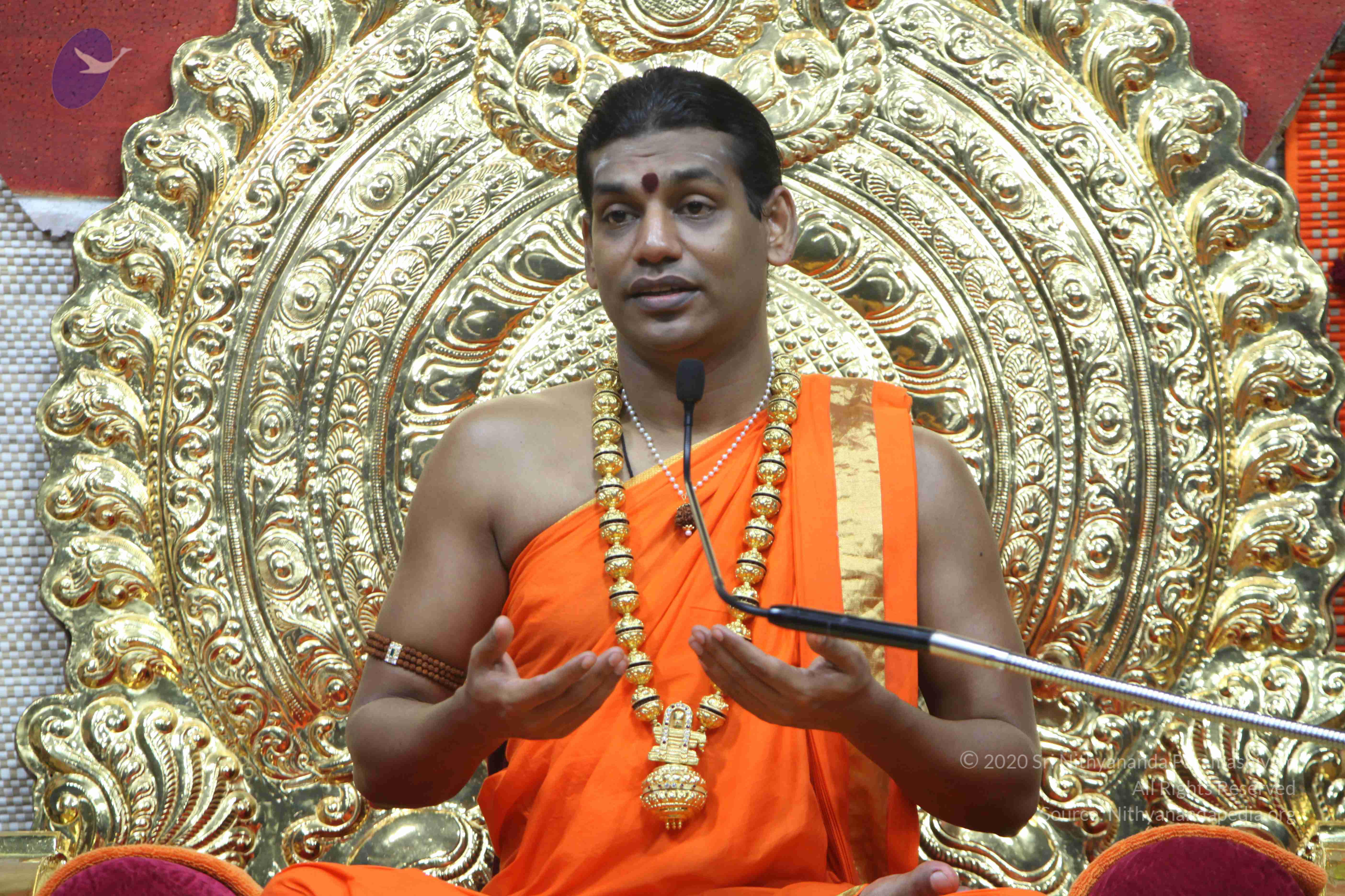 20110222_Photo_1210_IMG_9479_CMP_WM