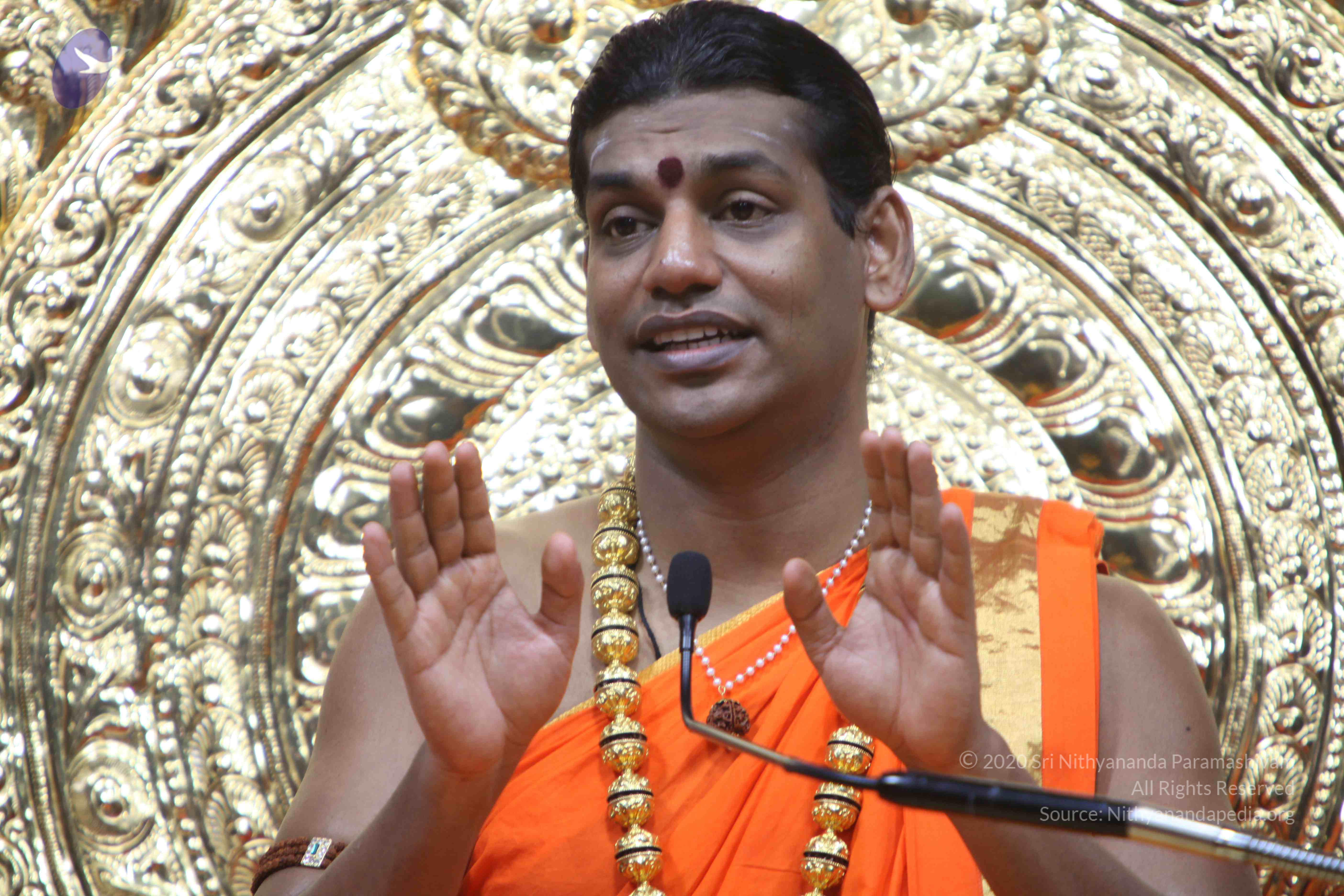 20110222_Photo_1220_IMG_9699_CMP_WM