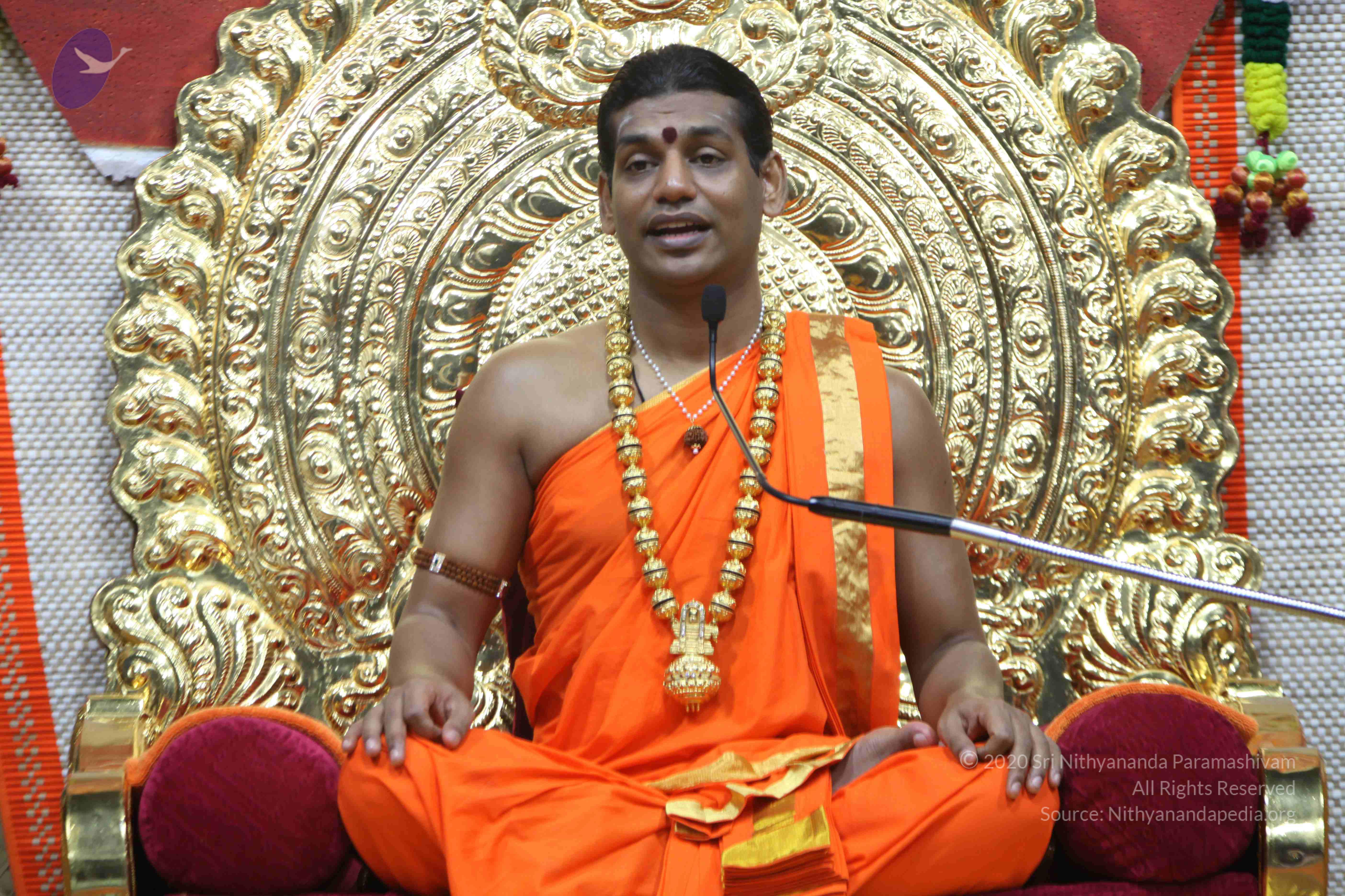 20110222_Photo_1222_IMG_9592_CMP_WM