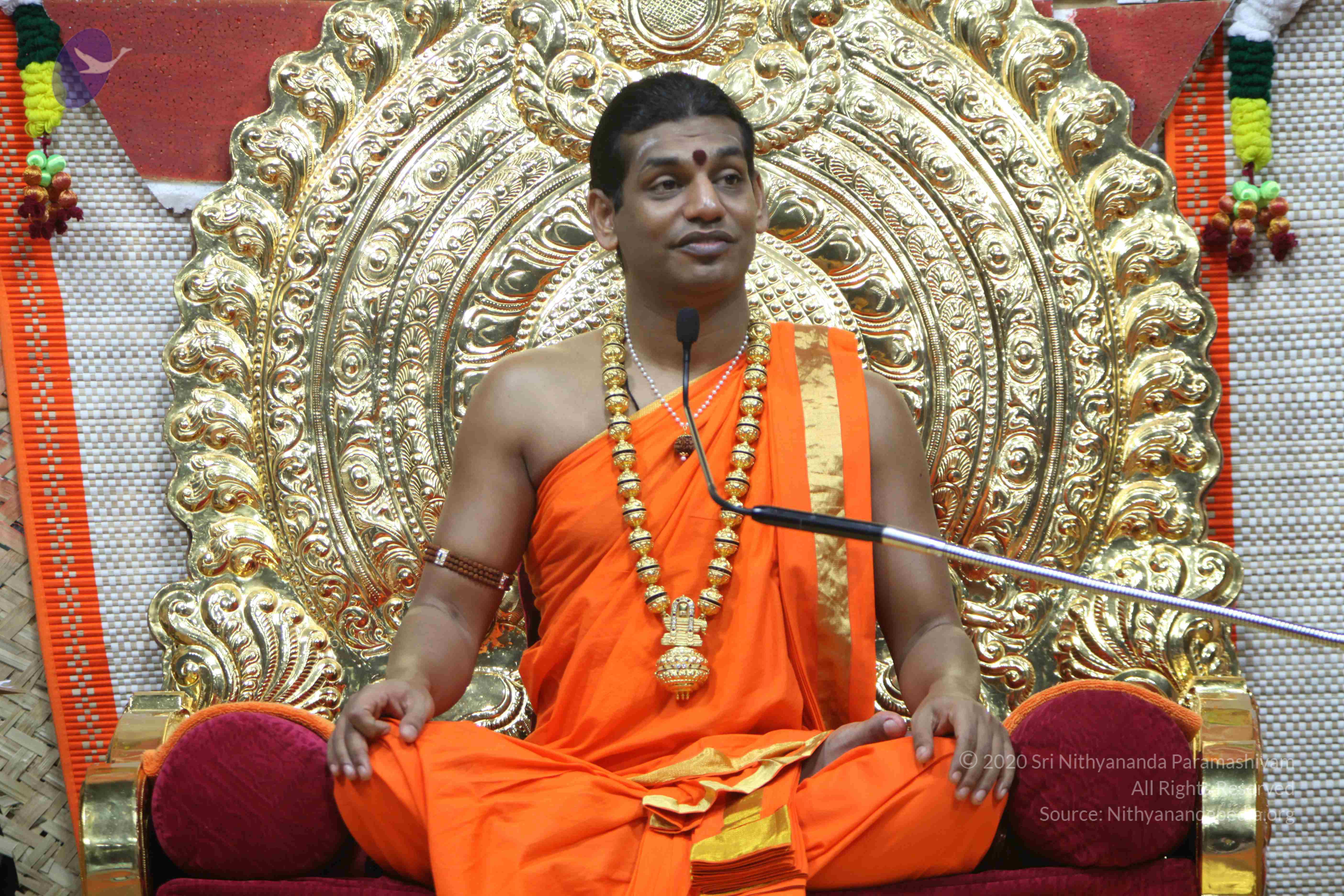 20110222_Photo_1223_IMG_9486_CMP_WM