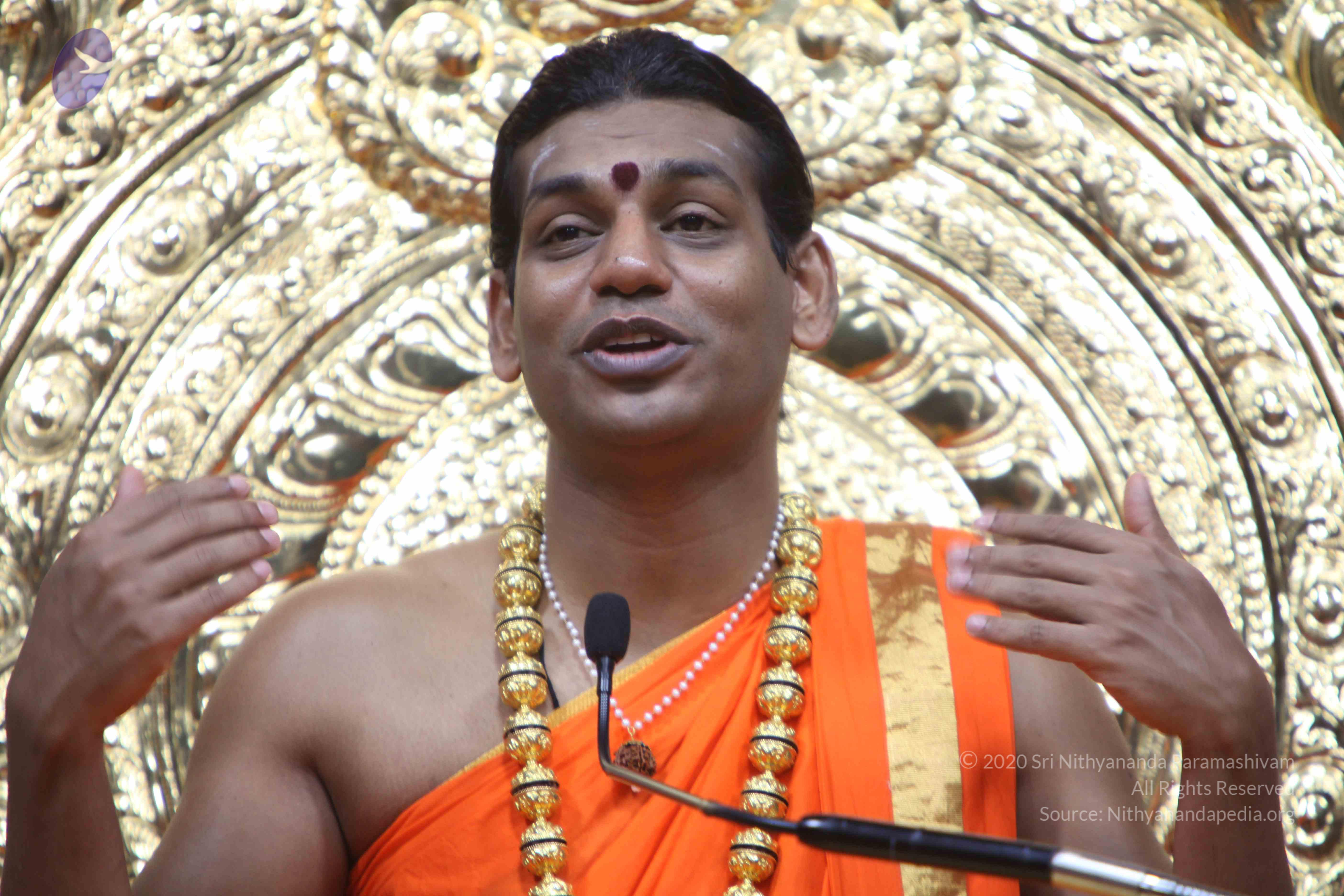 20110222_Photo_1244_IMG_9760_CMP_WM