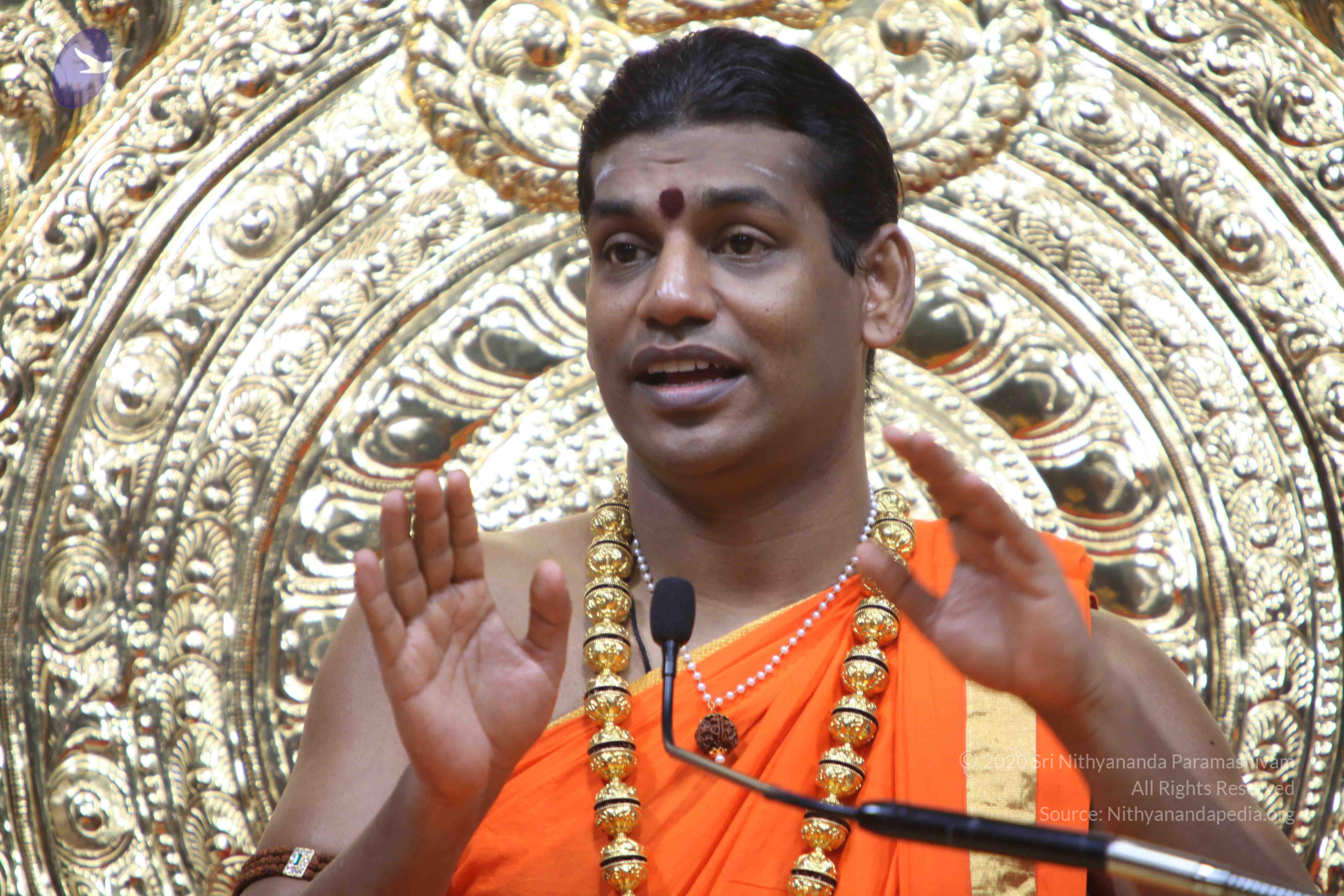 20110222_Photo_1248_IMG_9702_CMP_WM