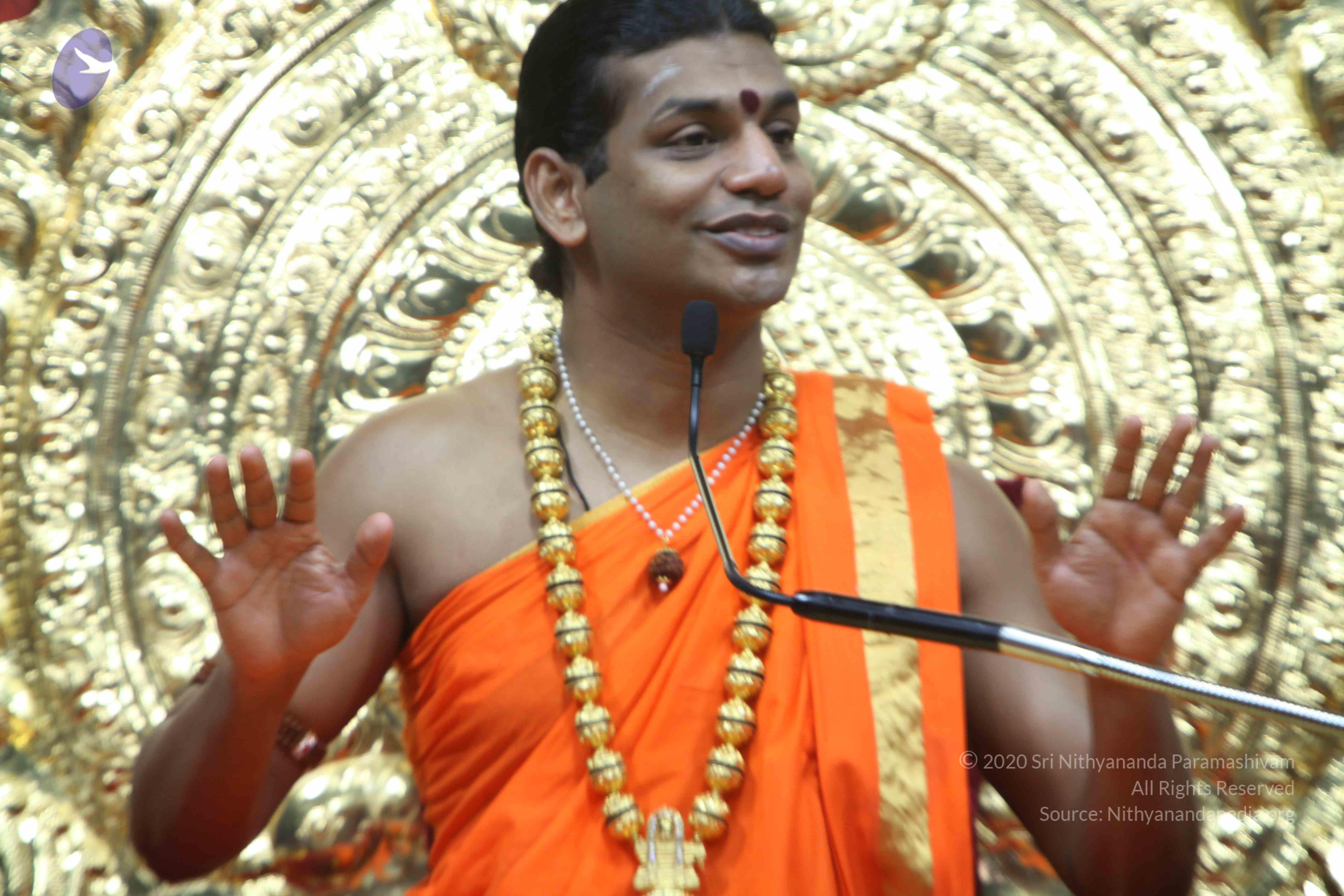 20110222_Photo_1250_IMG_9616_CMP_WM