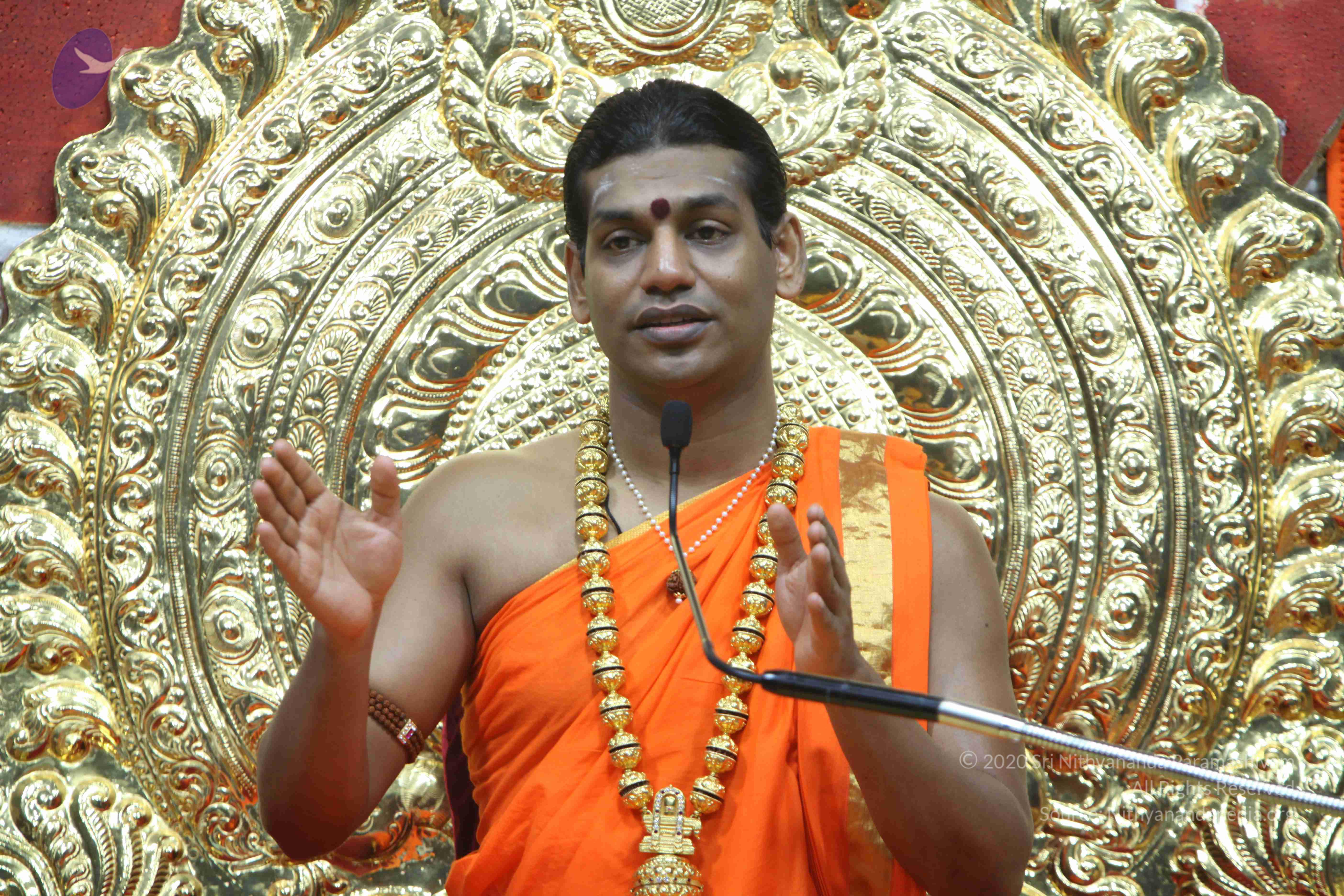 20110222_Photo_1265_IMG_9477_CMP_WM