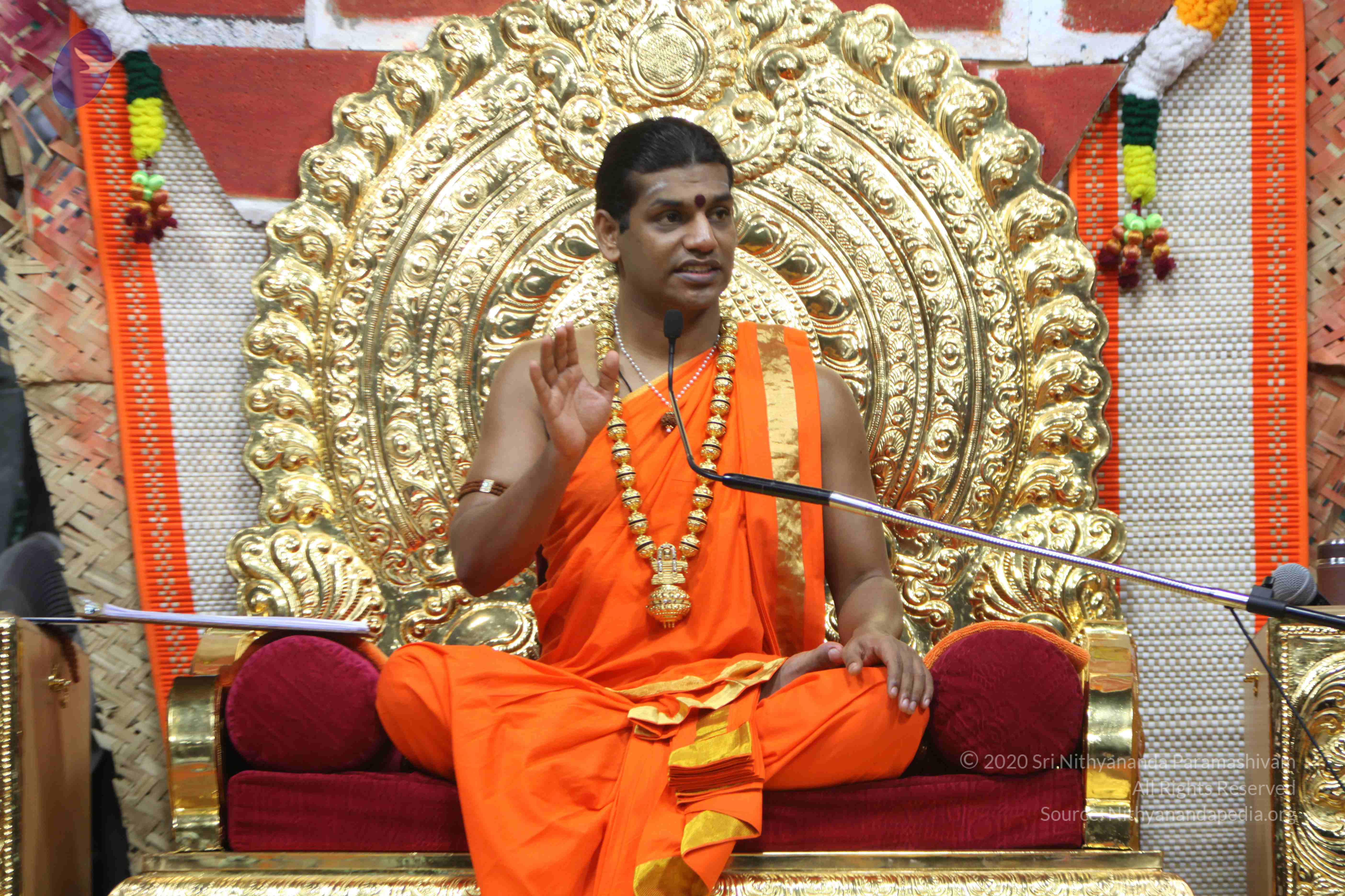 20110222_Photo_1291_IMG_9433_CMP_WM