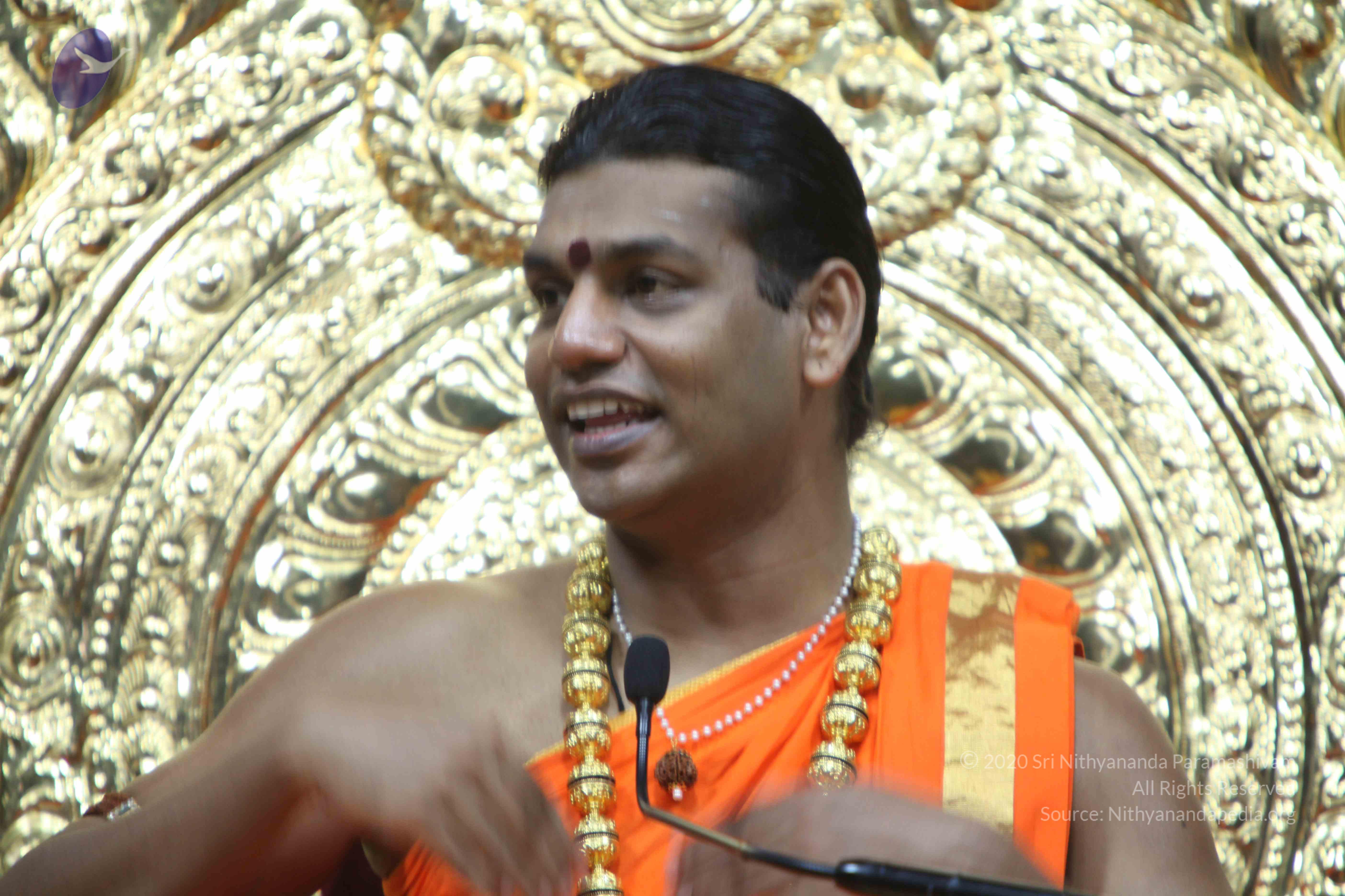 20110222_Photo_1322_IMG_9716_CMP_WM