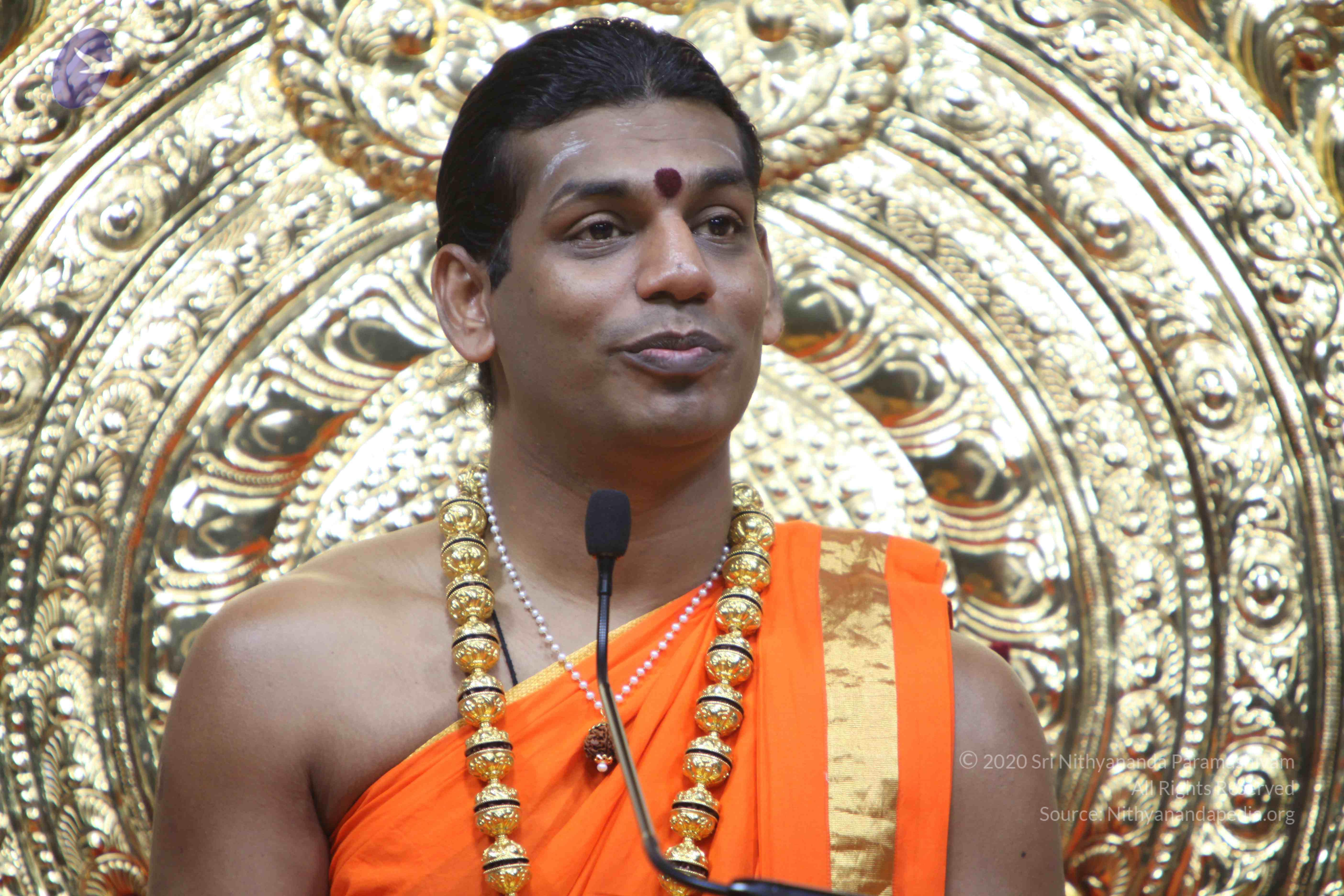 20110222_Photo_1323_IMG_9448_CMP_WM