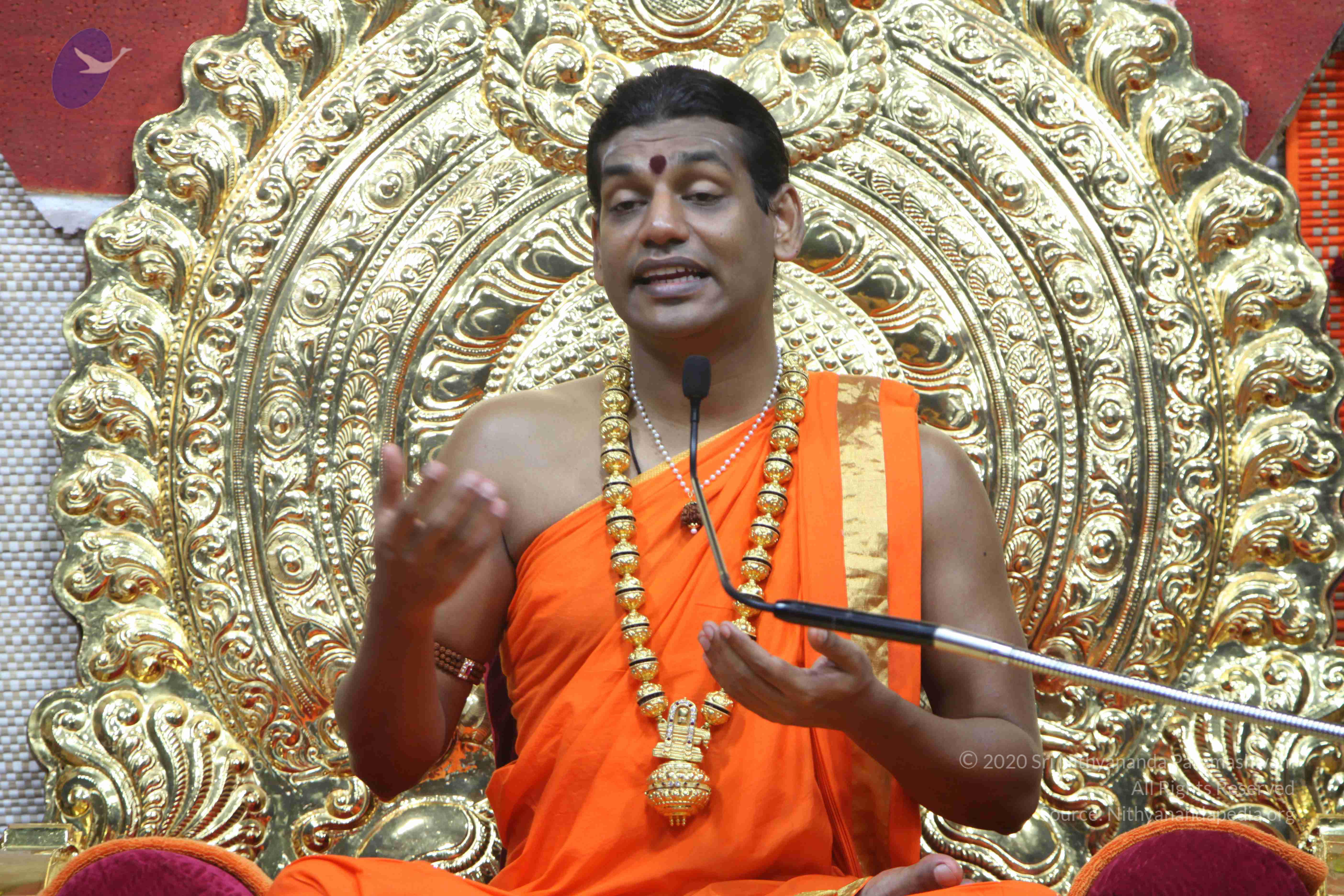 20110222_Photo_1331_IMG_9480_CMP_WM