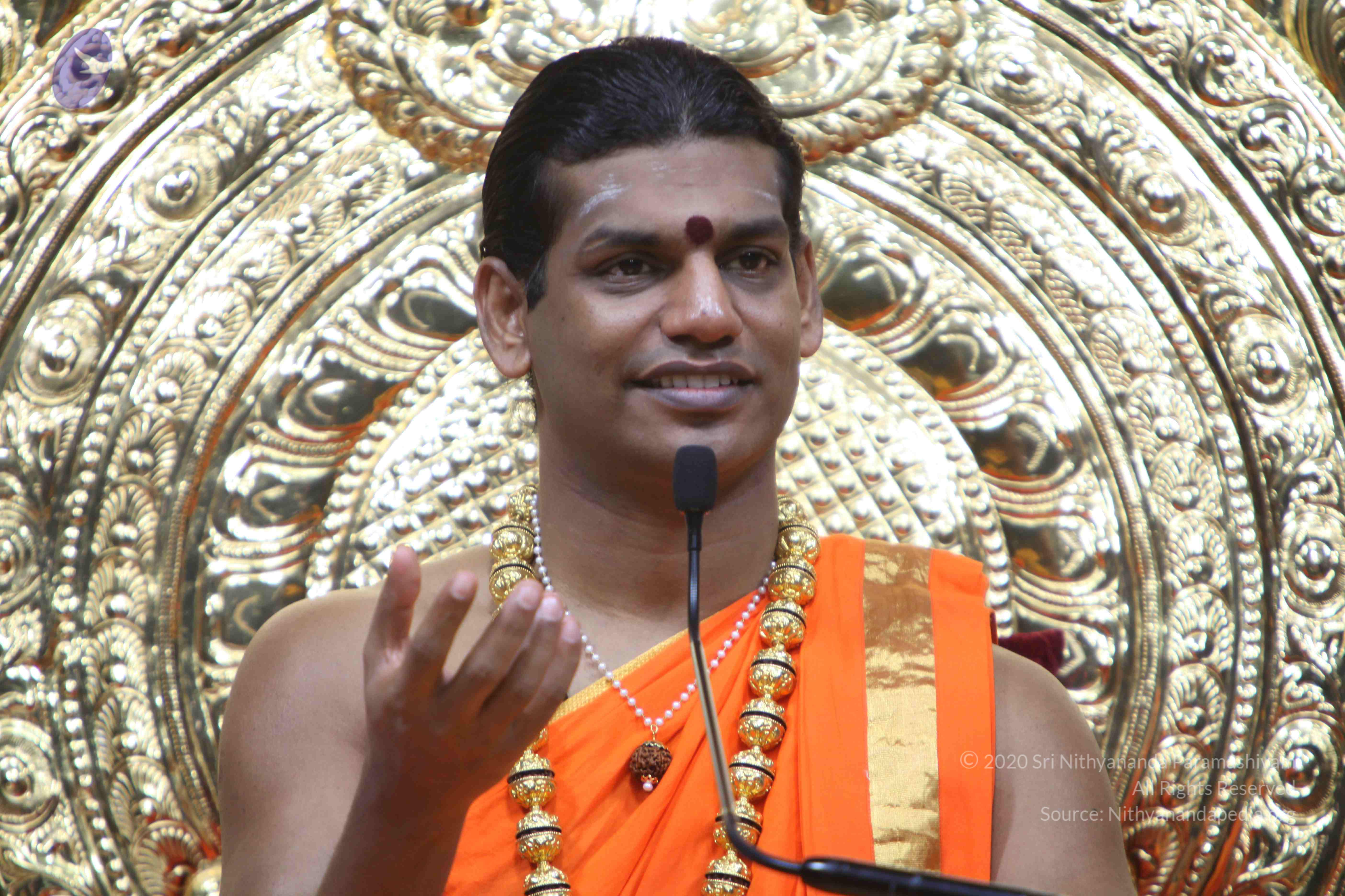 20110222_Photo_1335_IMG_9391_CMP_WM