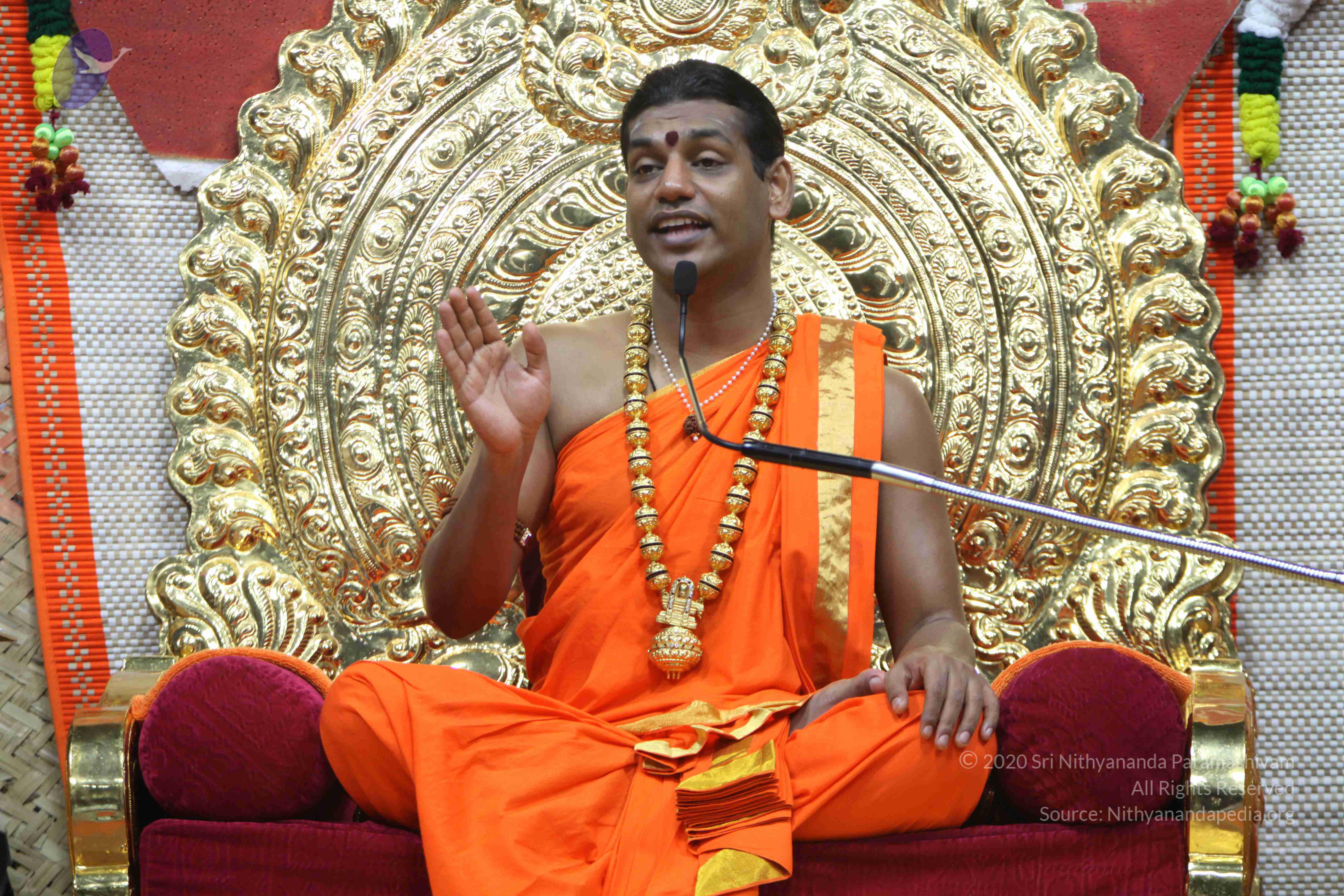 20110222_Photo_1337_IMG_9646_CMP_WM